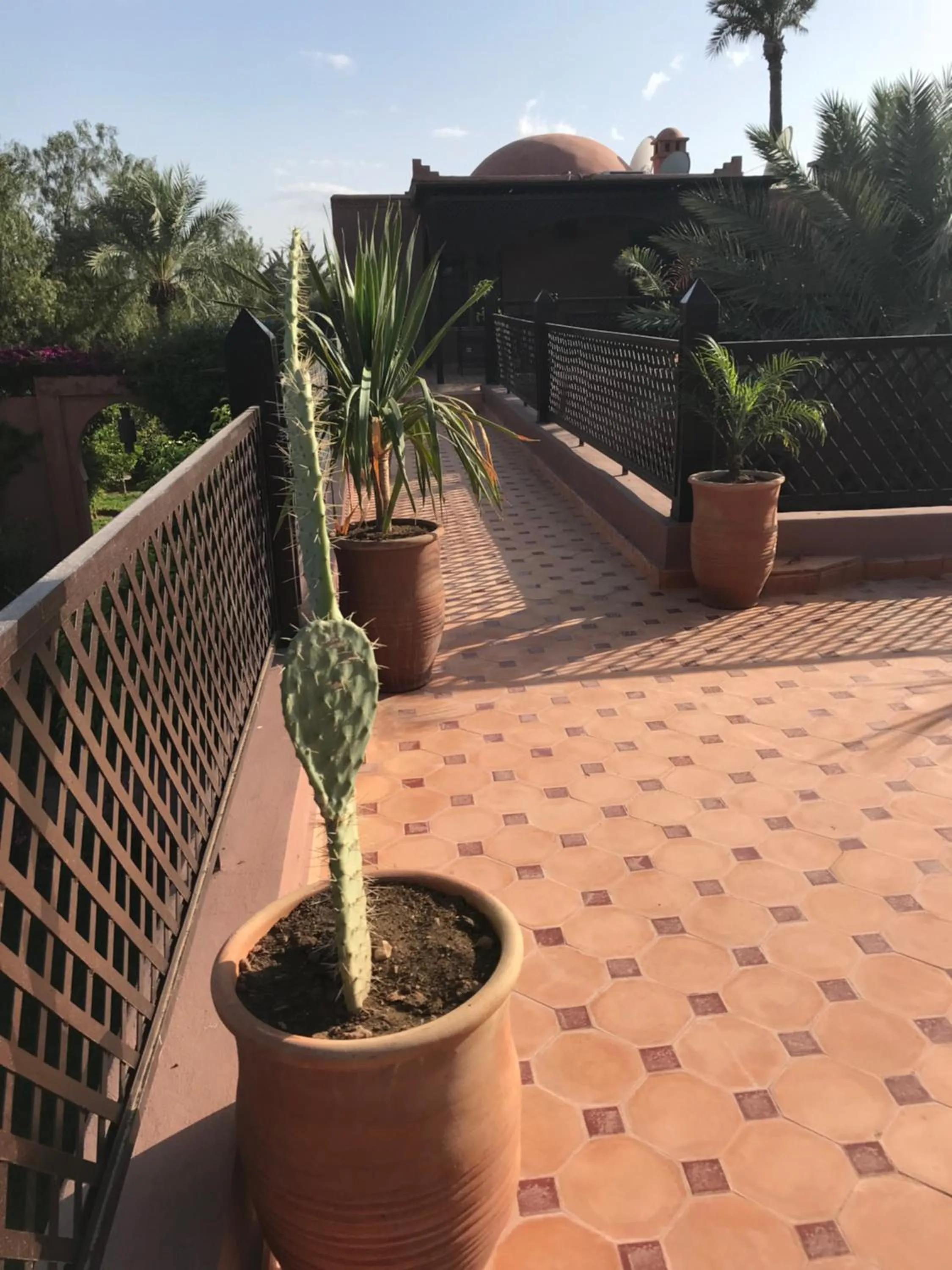 Patio in Maison Ayda