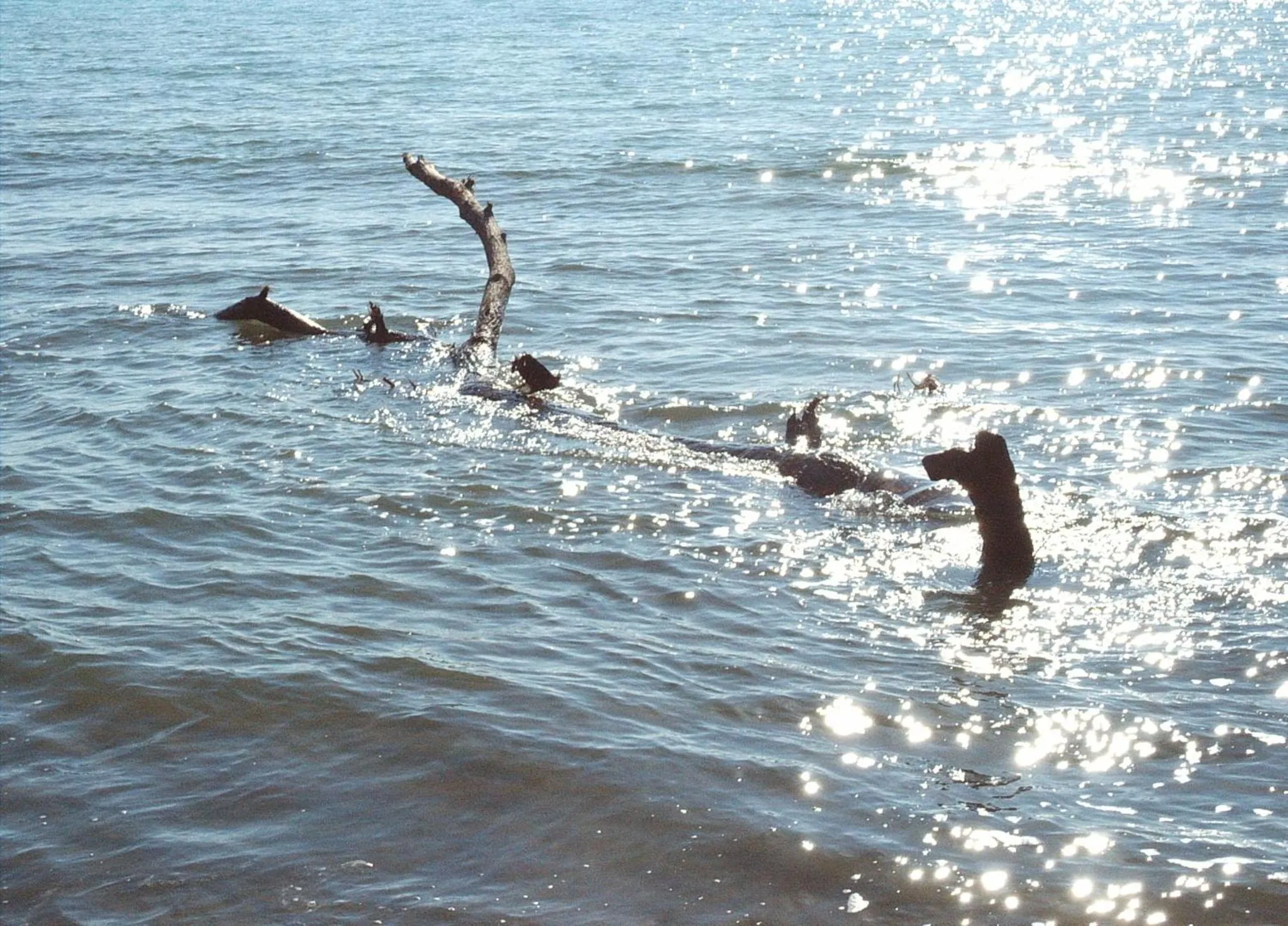 Nearby landmark in B&B Pierilu'