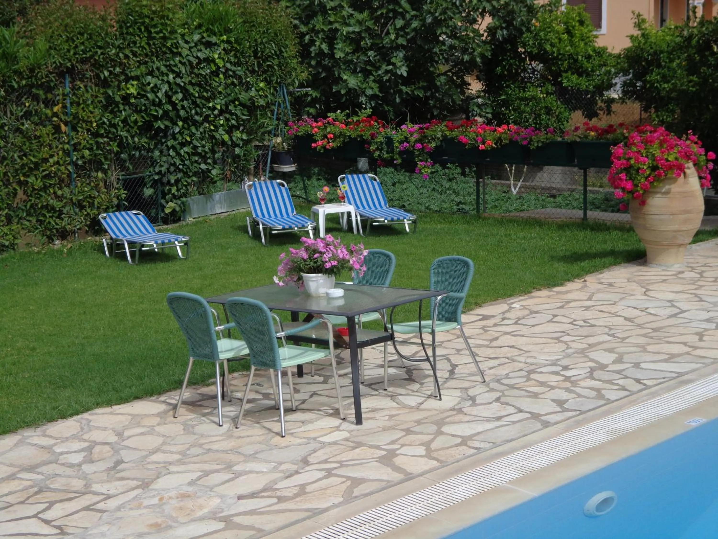 Garden in Kalypso Gouvia