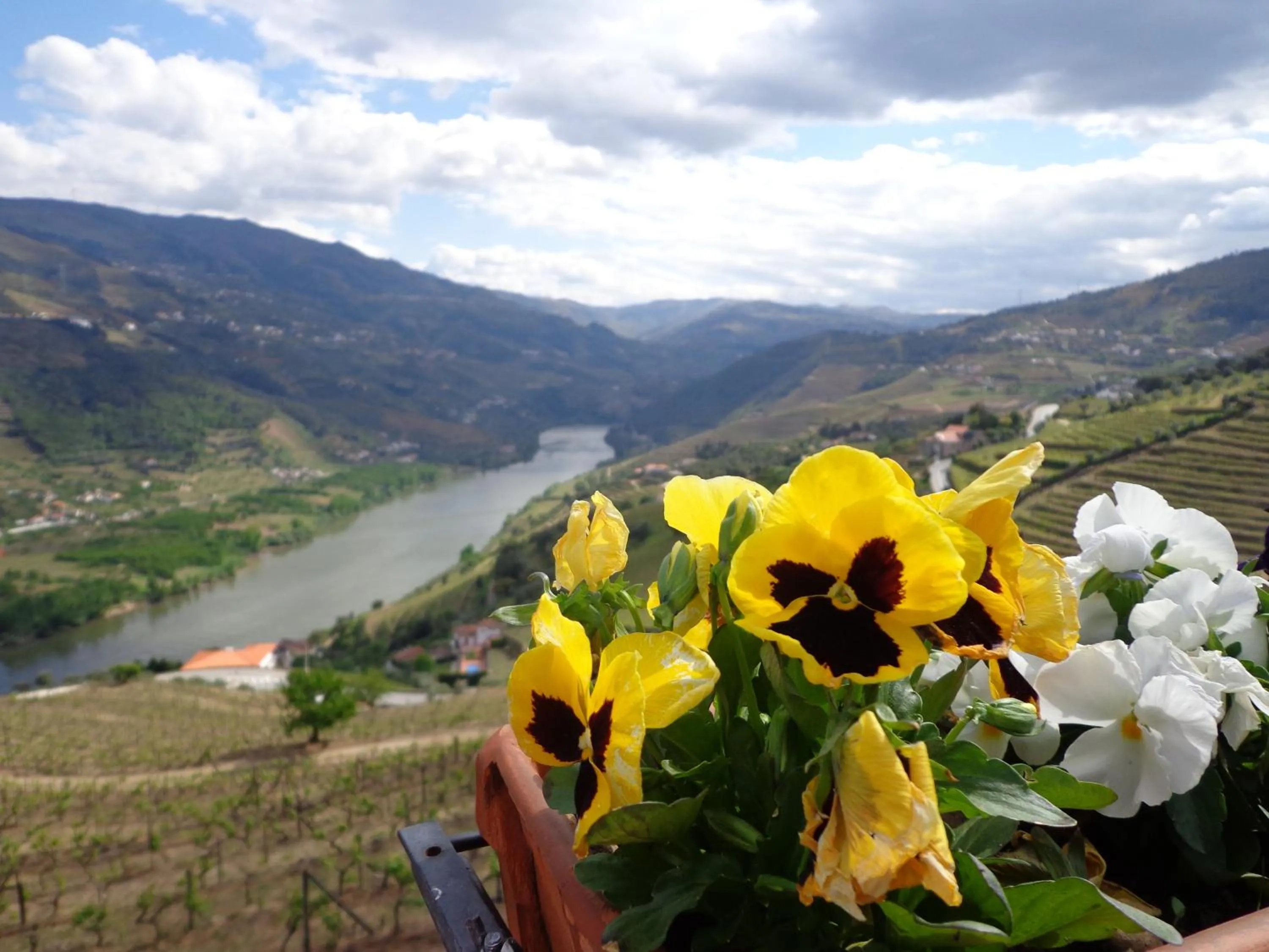 View (from property/room) in Casa De Canilhas