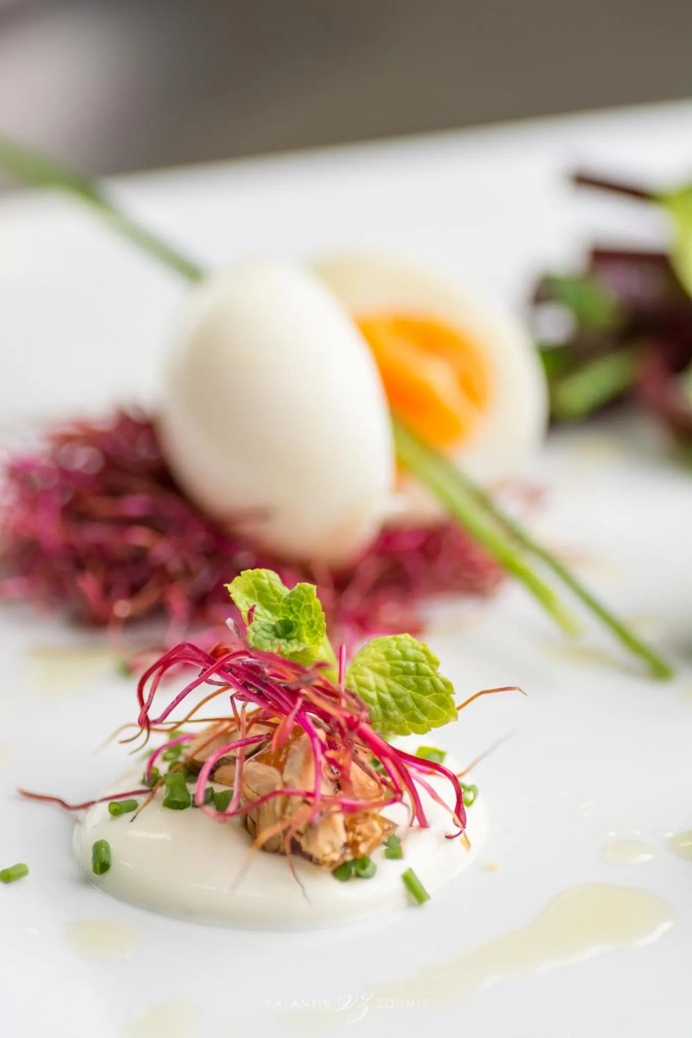 Food close-up in Golden Sand Hotel