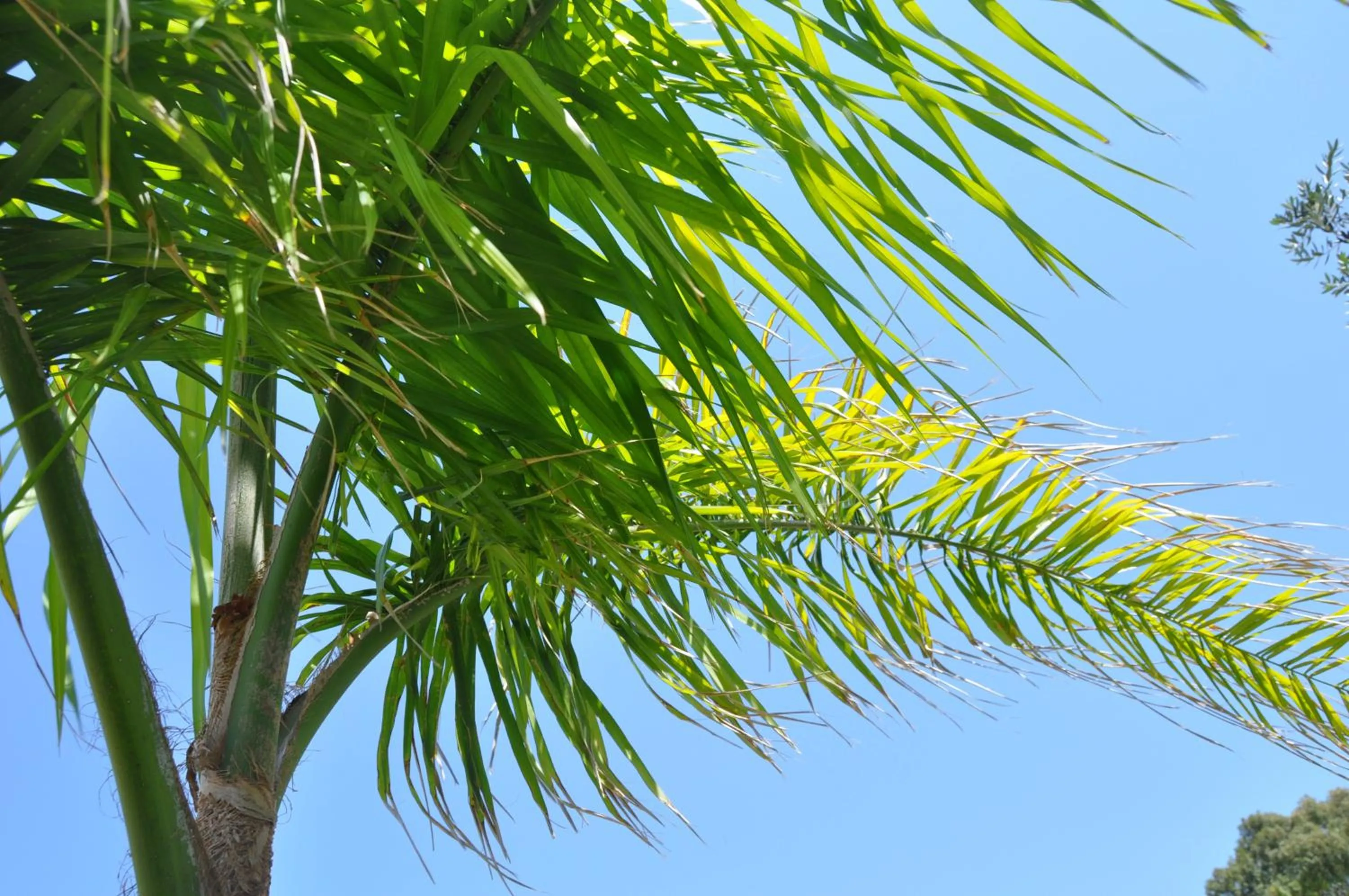 Garden in Bed & Breakfast Giardini Di Marzo