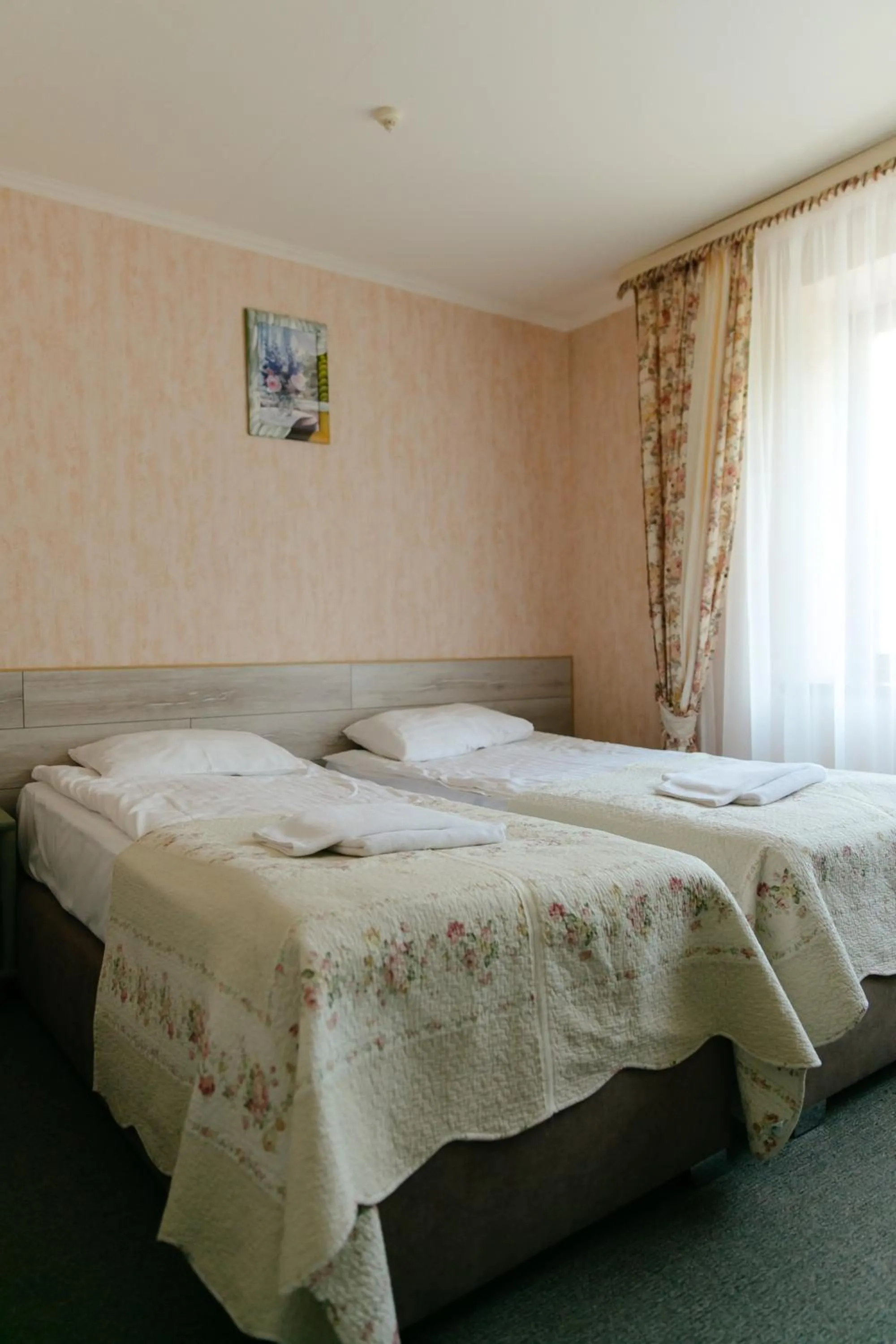 Standard Double Room - single occupancy in Zolota Gora Hotel-Rancho