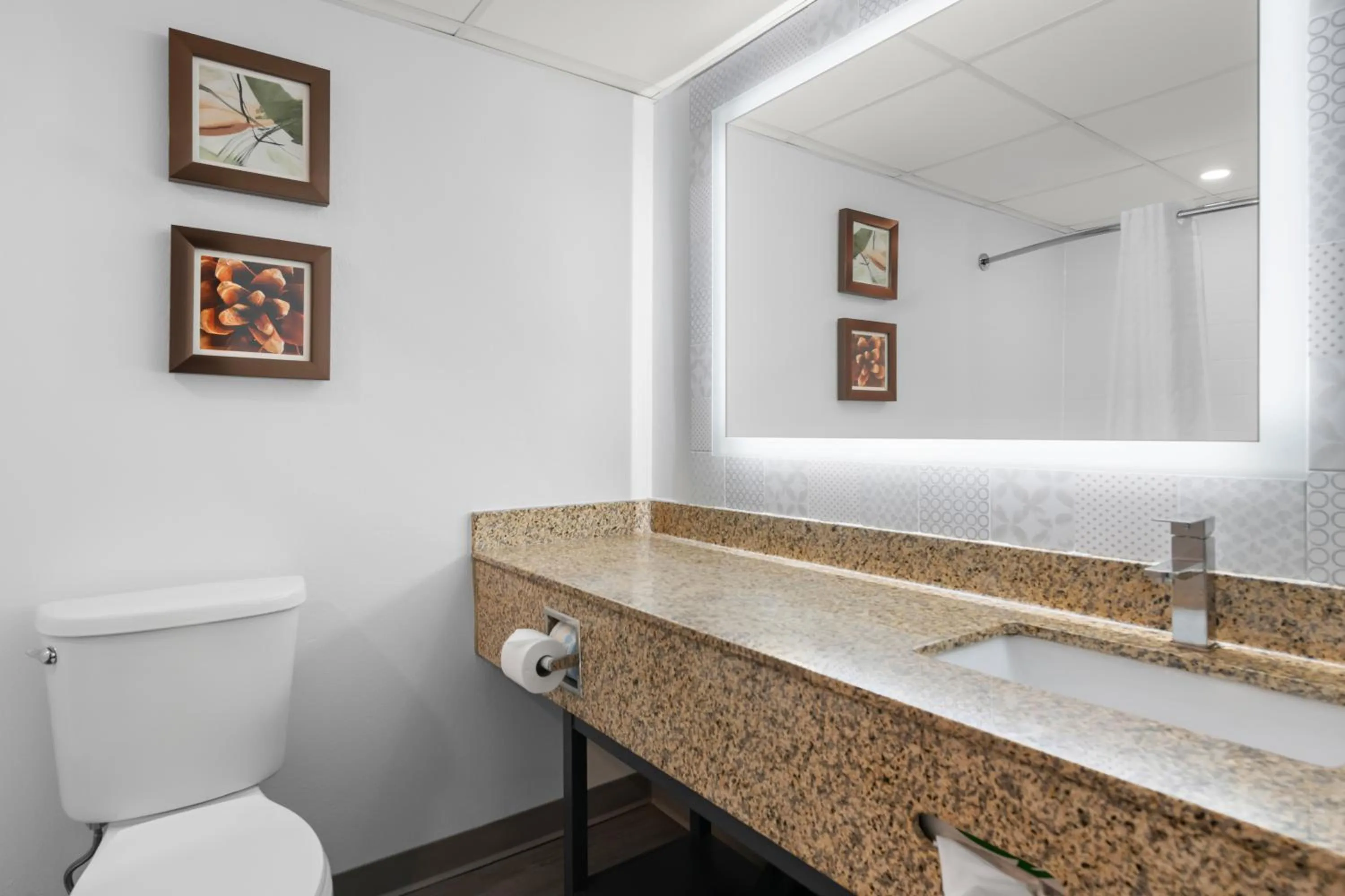 Bathroom in Country Inn & Suites by Radisson, Near The National Sports Center, Coon Rapids, MN