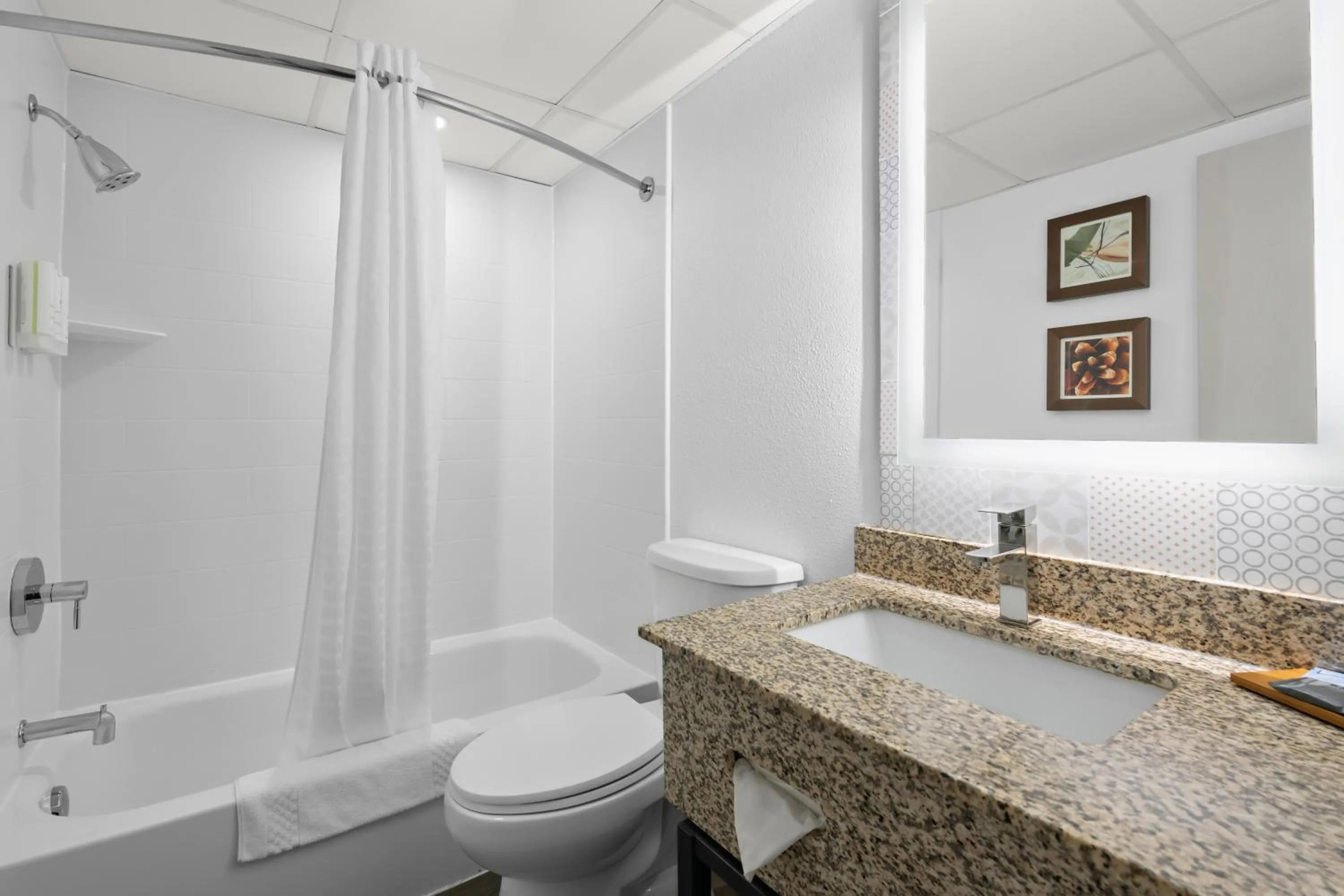 Toilet in Country Inn & Suites by Radisson, Near The National Sports Center, Coon Rapids, MN