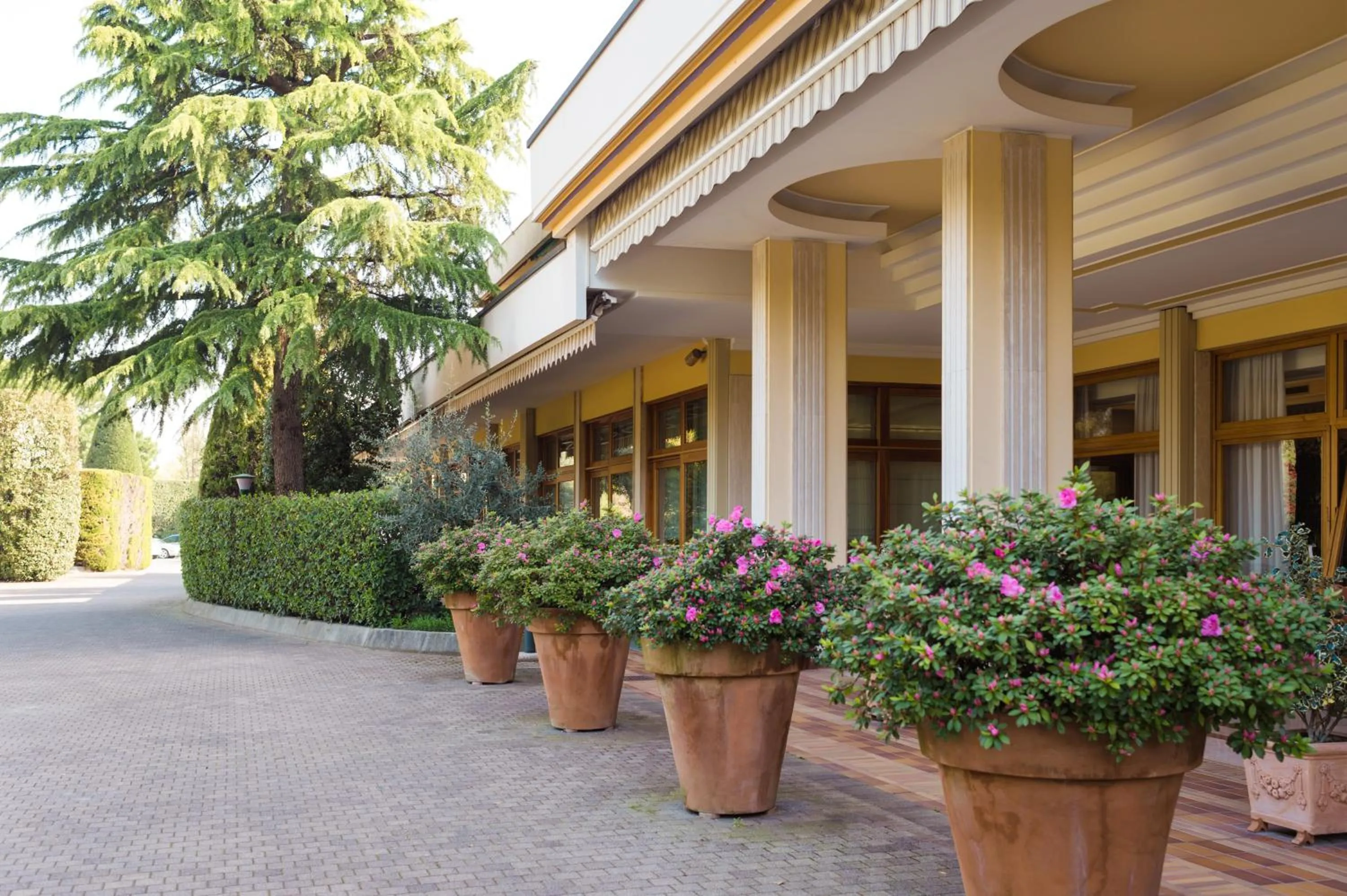 Facade/entrance in Hotel Terme Antoniano