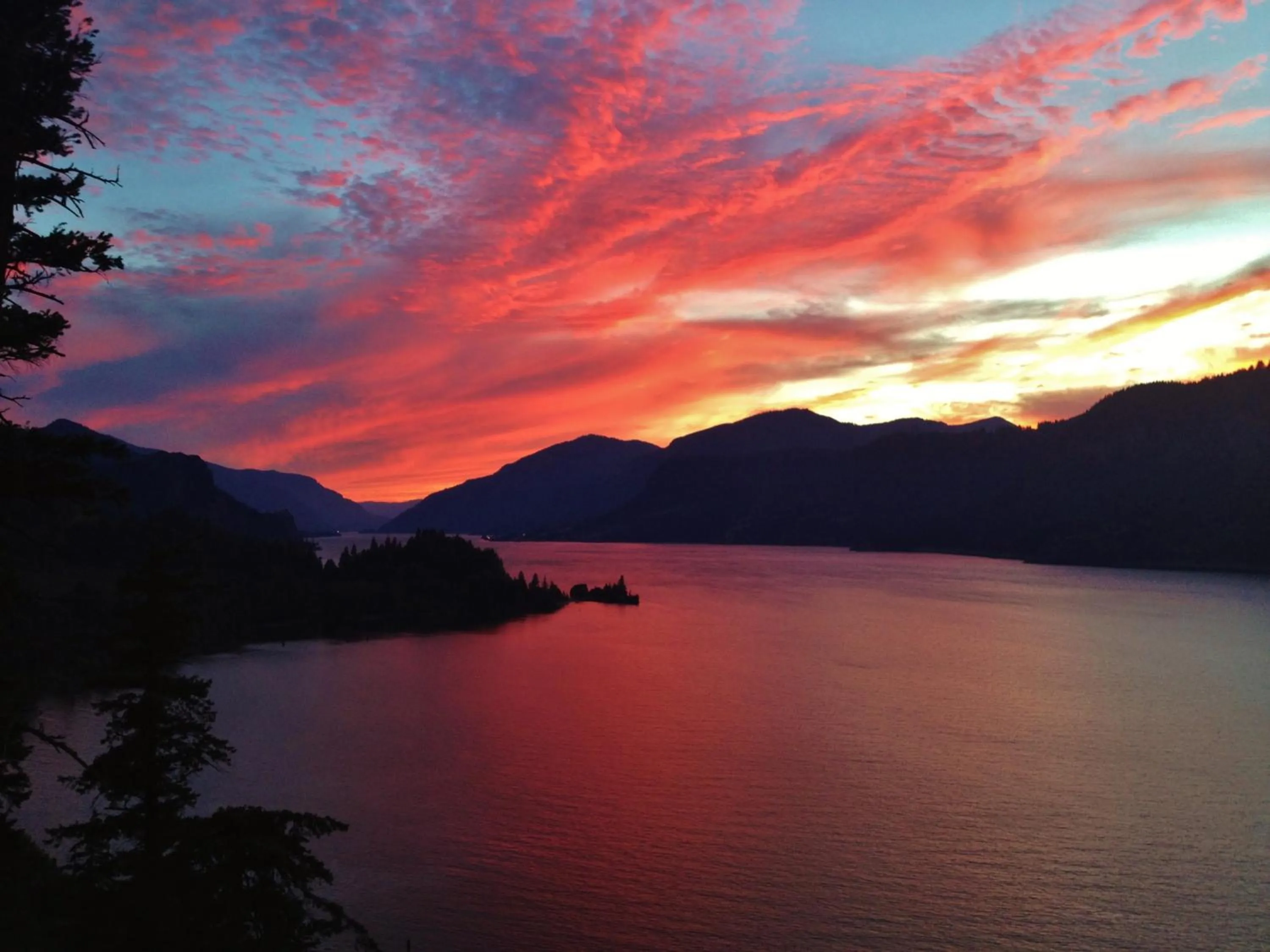 Natural landscape in Westcliff Lodge