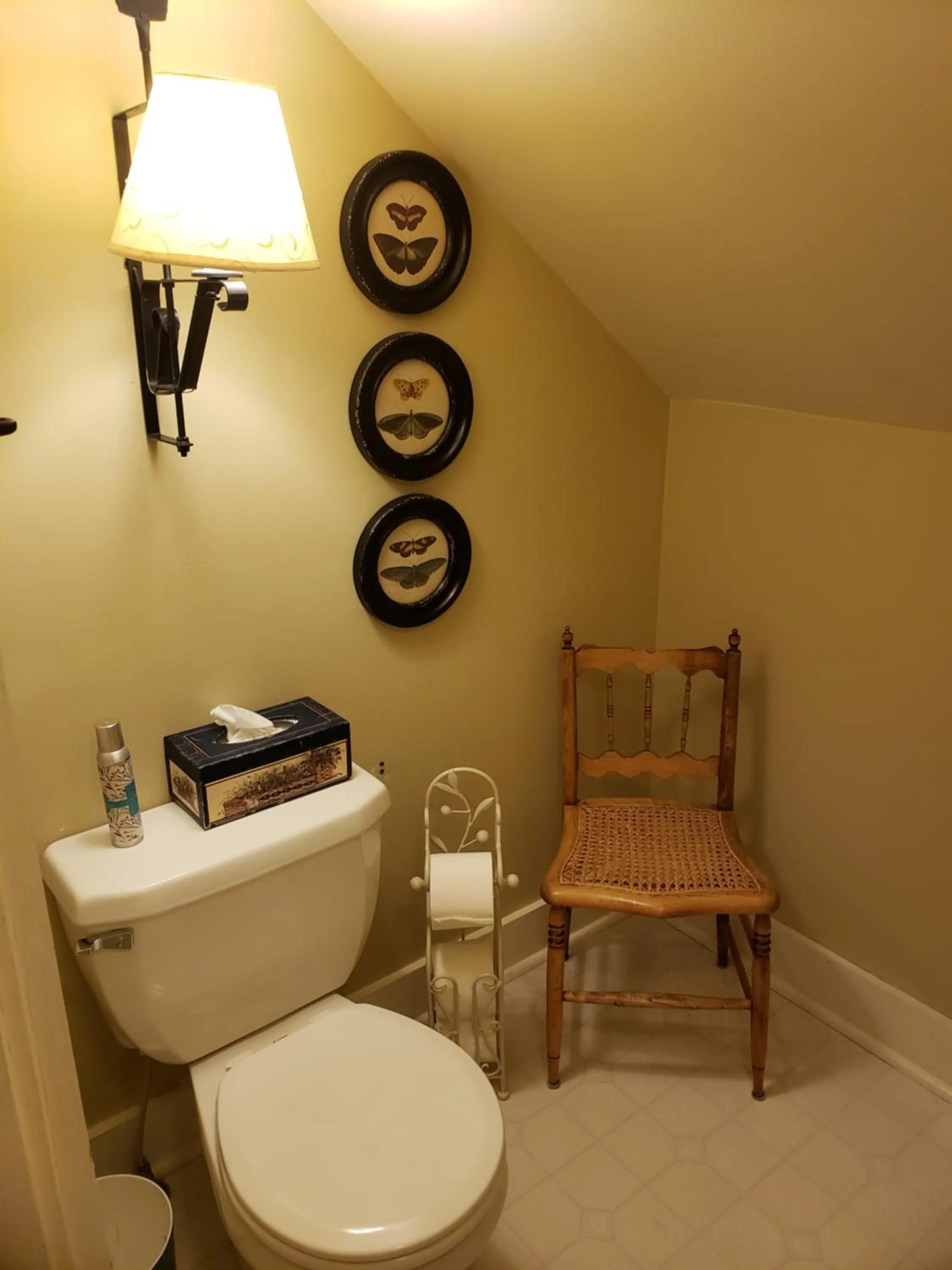 The Pines of Dresden