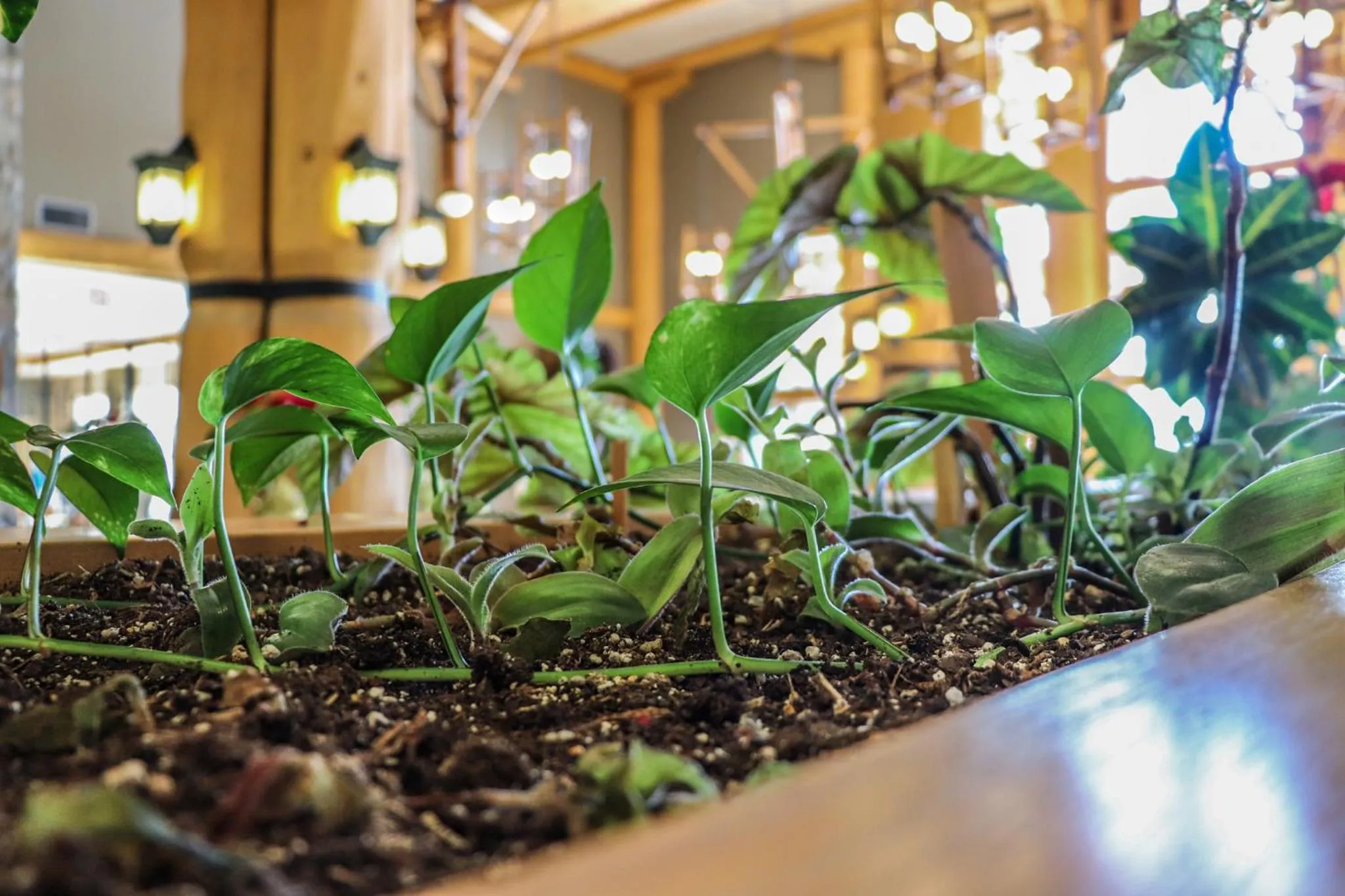 Lobby or reception in Coast Hillcrest Hotel
