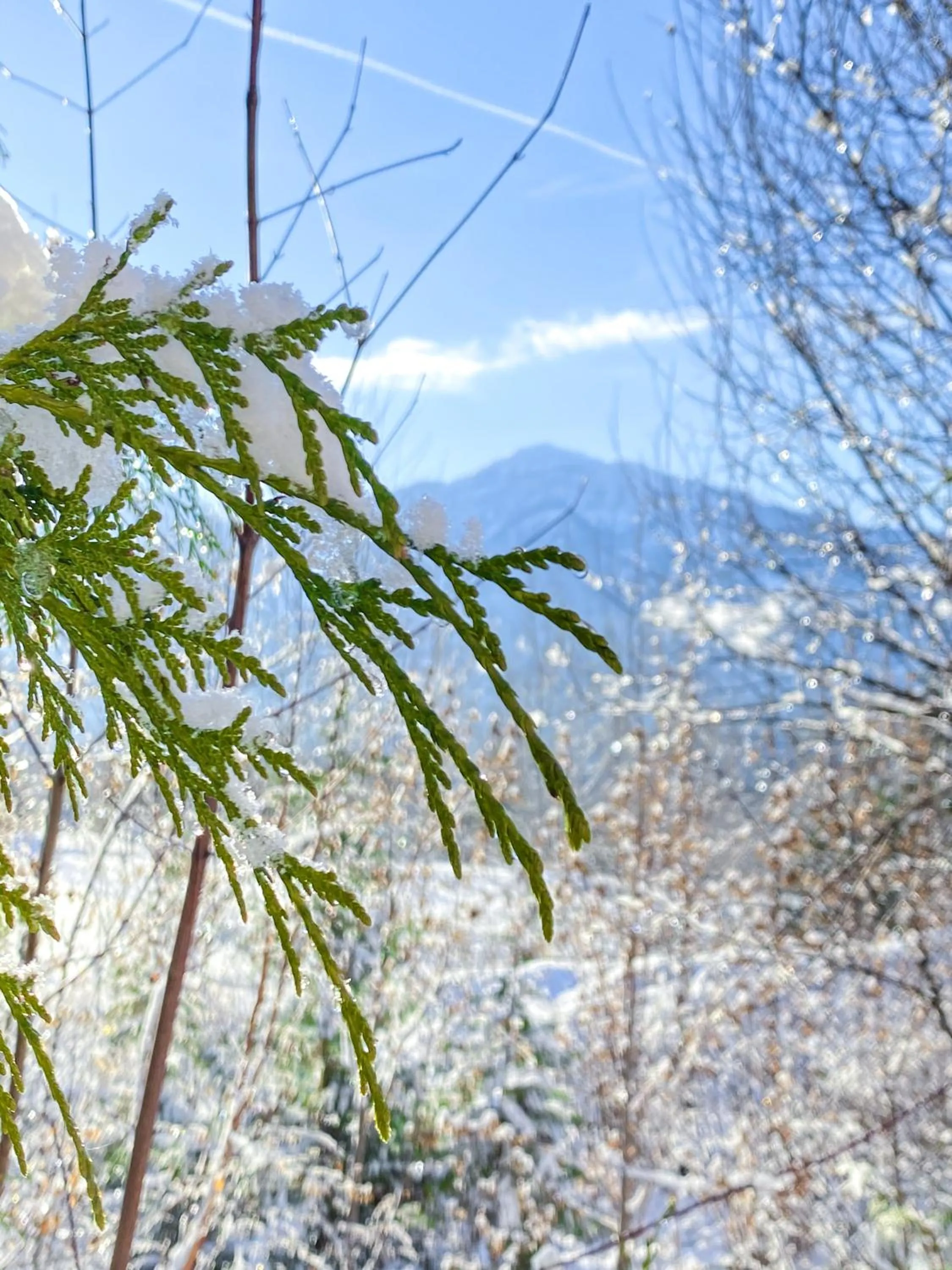 Natural landscape in Coast Hillcrest Hotel