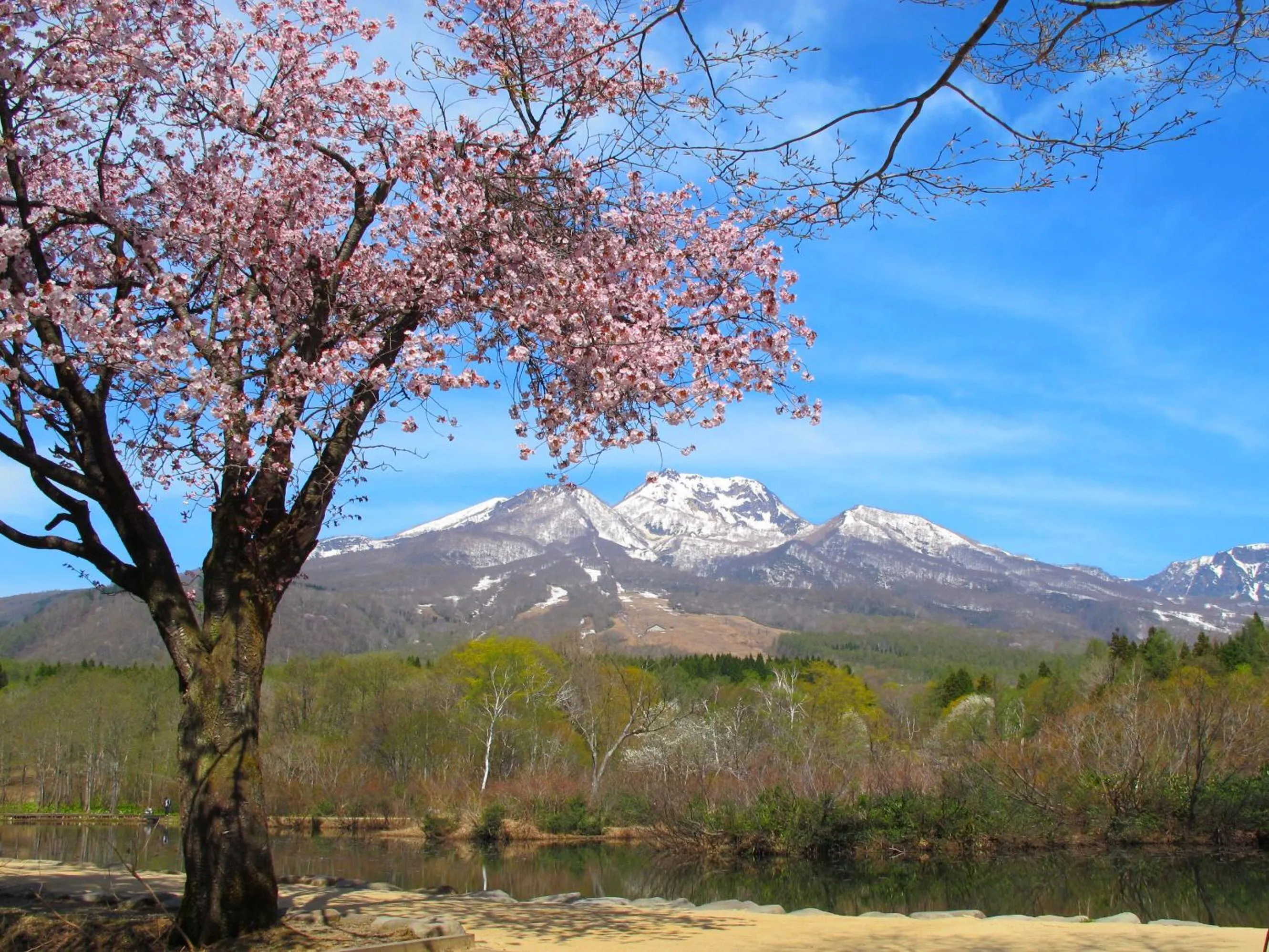 Spring in Akakura Hotel