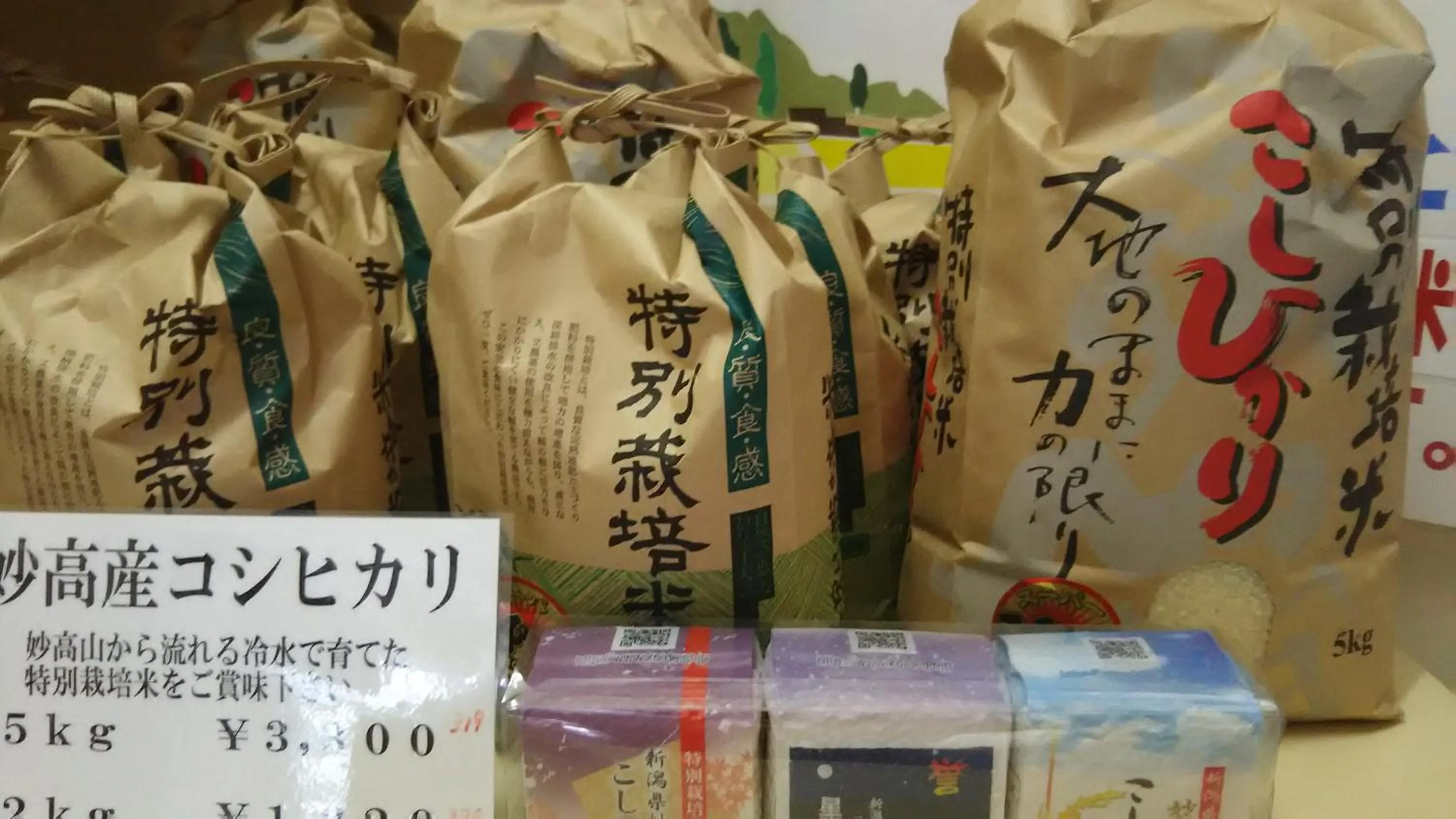 Other in Akakura Hotel