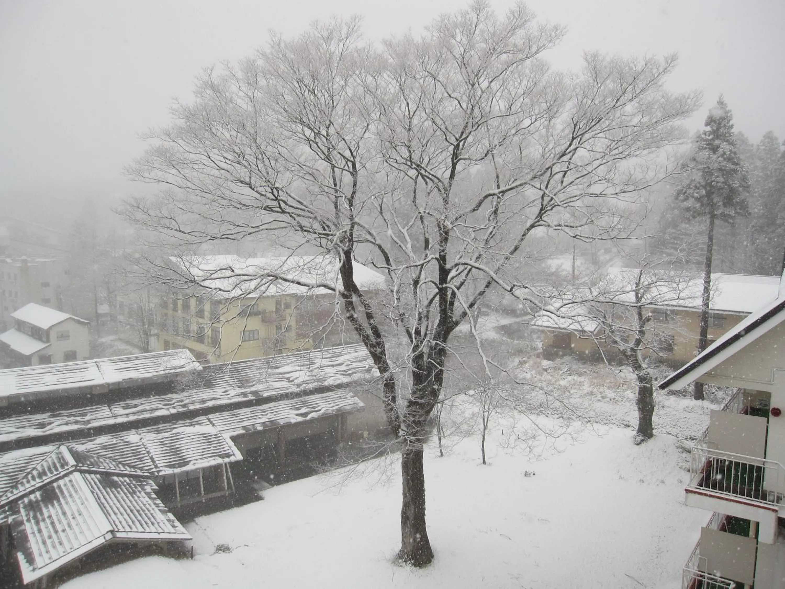Garden view in Akakura Hotel