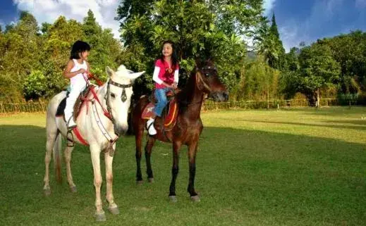 Horse-riding, Horseback Riding in Sari Ater Hotel & Resort