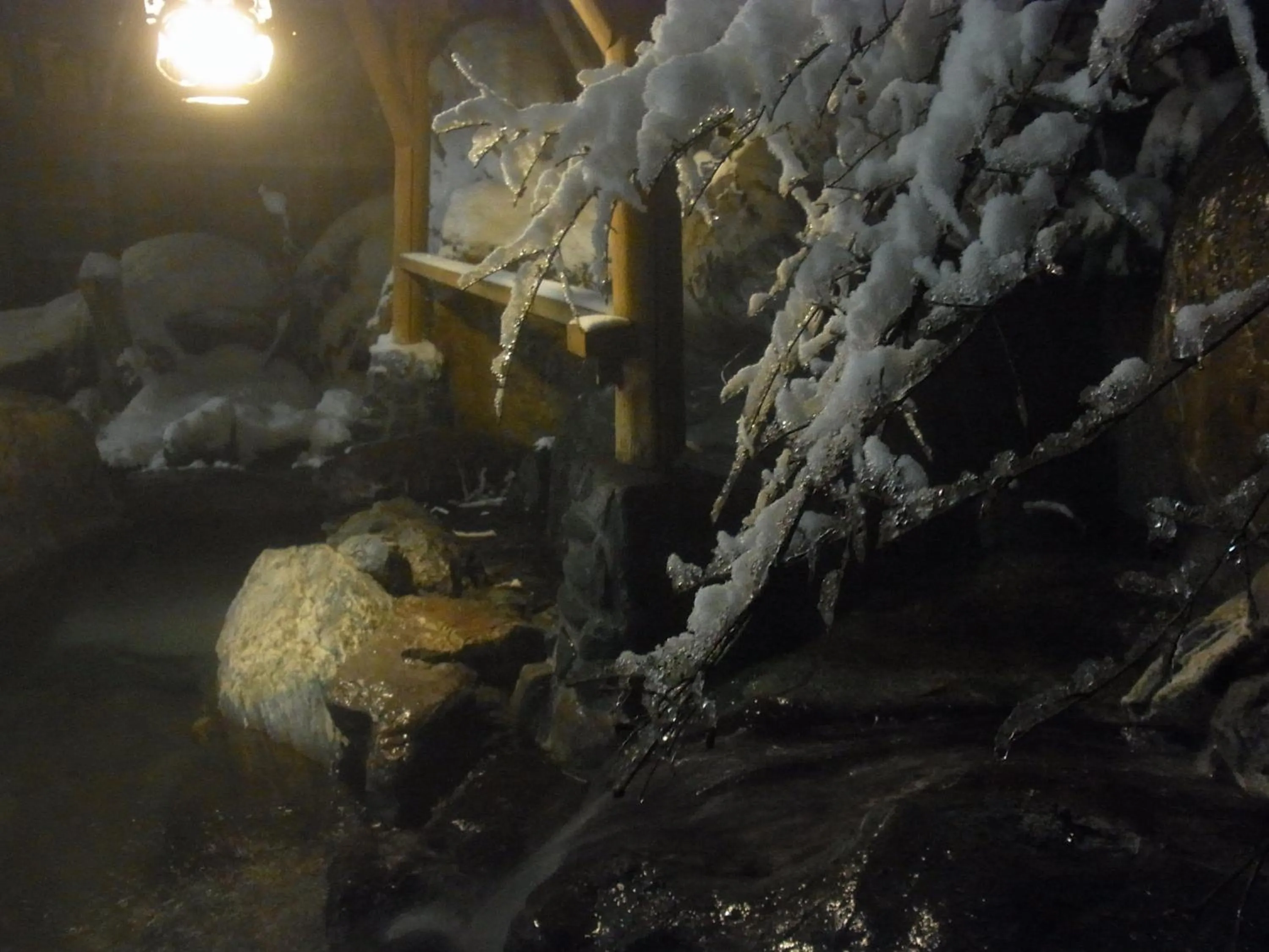 Hot Spring Bath in Ryokan Tanigawa