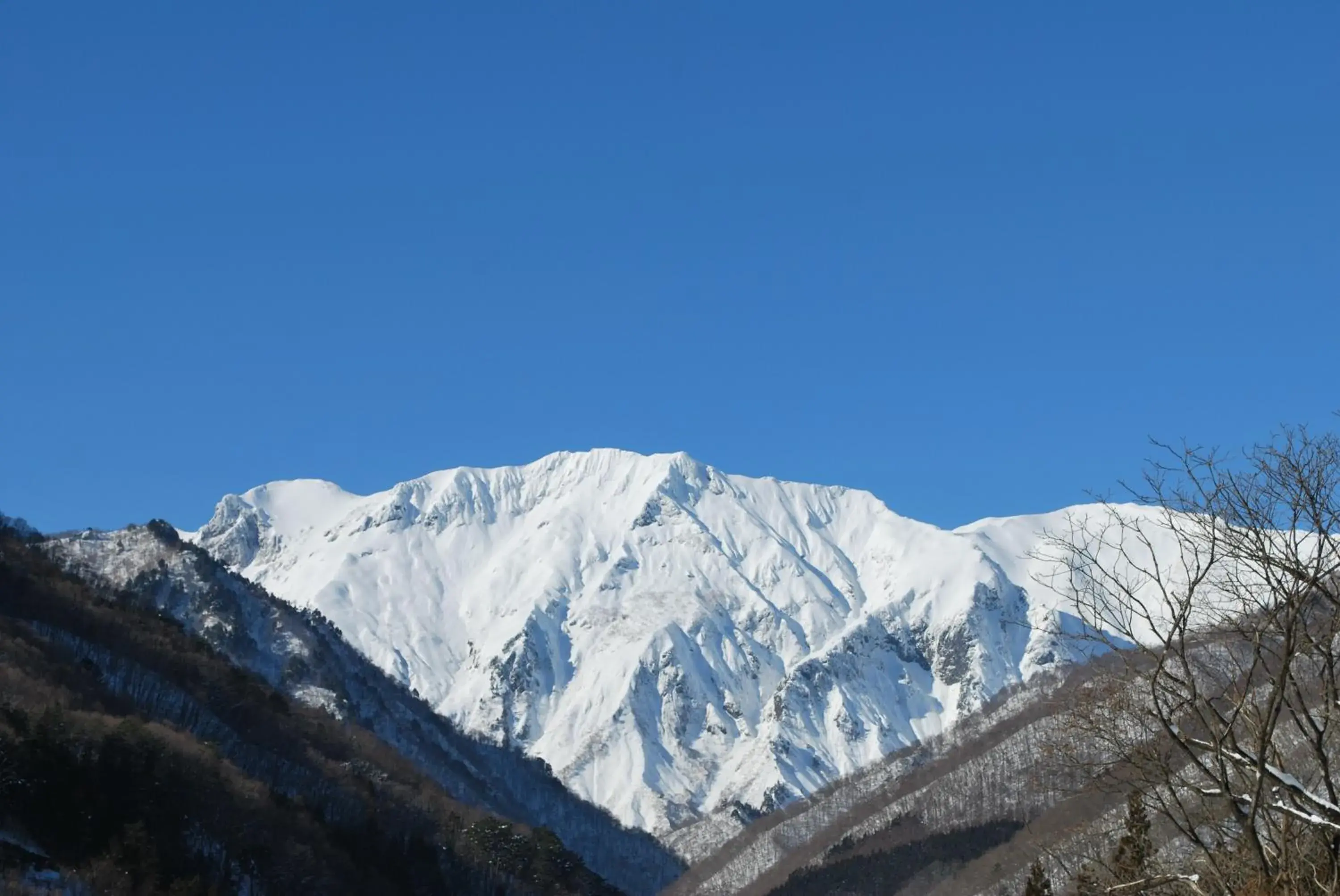 View (from property/room) in Ryokan Tanigawa View (from property/room) in Ryokan Tanigawa