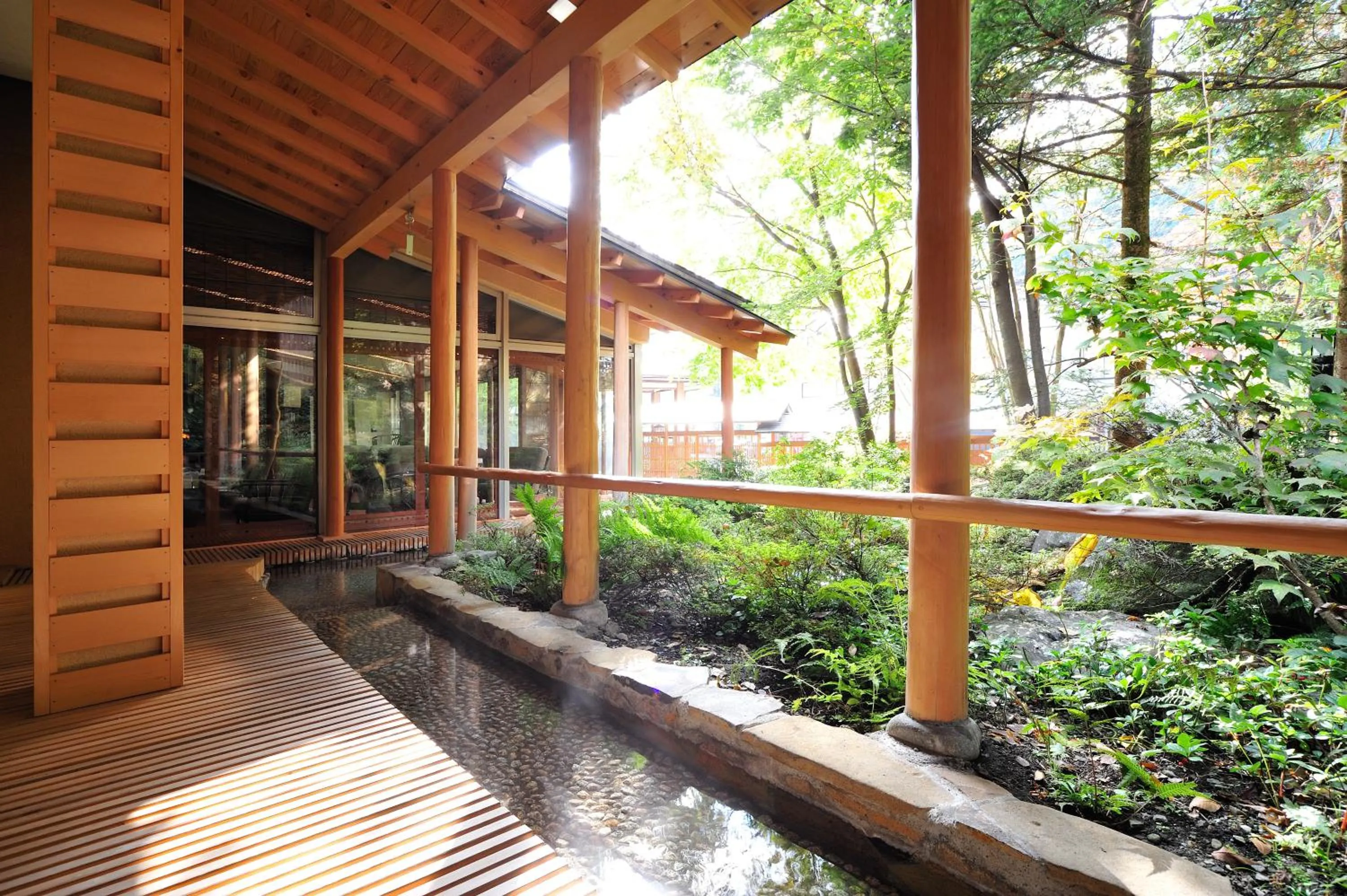 Hot Spring Bath in Ryokan Tanigawa