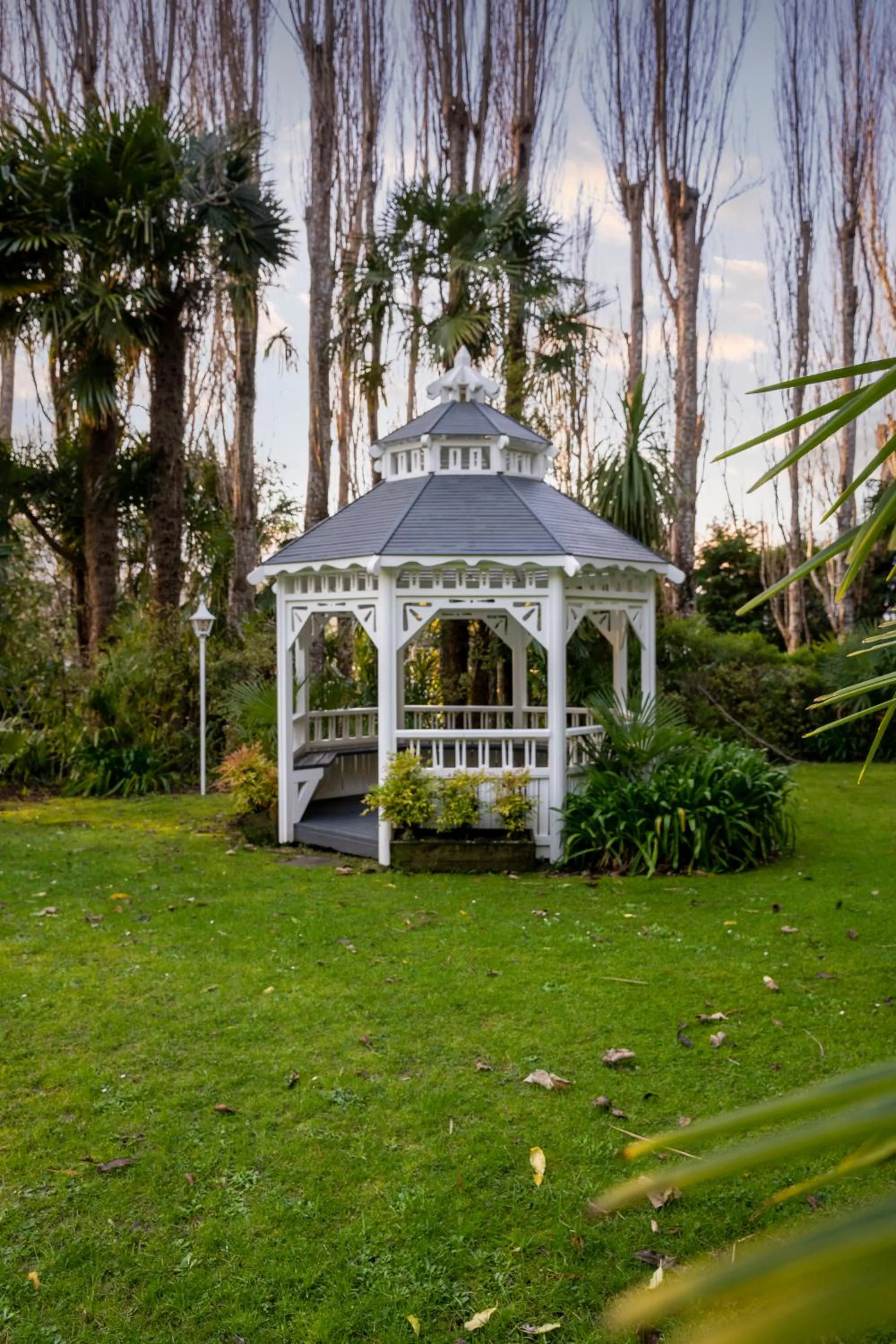 Garden in Wallaceville Motor Lodge