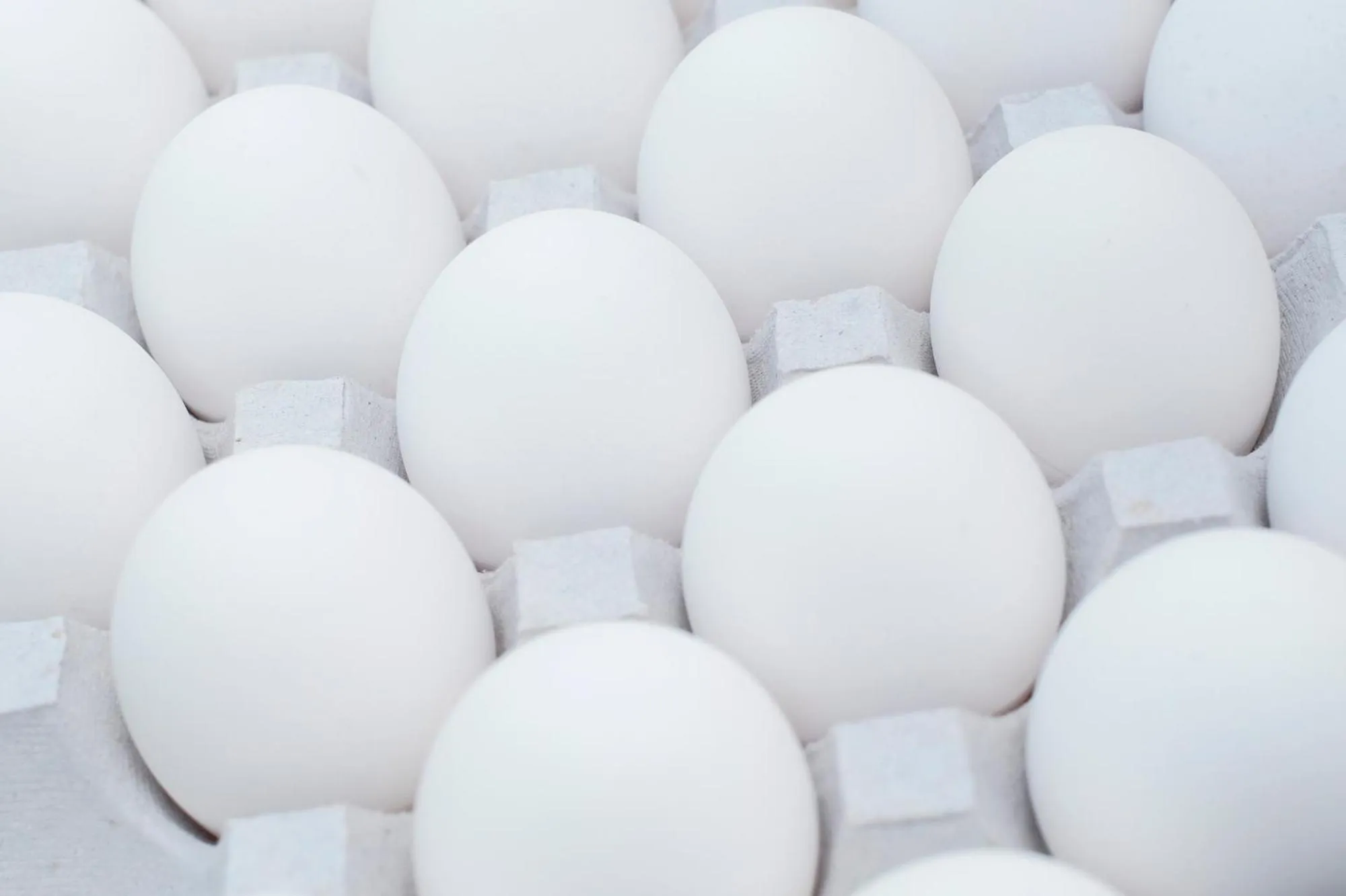 Food and drinks in Hotel Hamby Resort