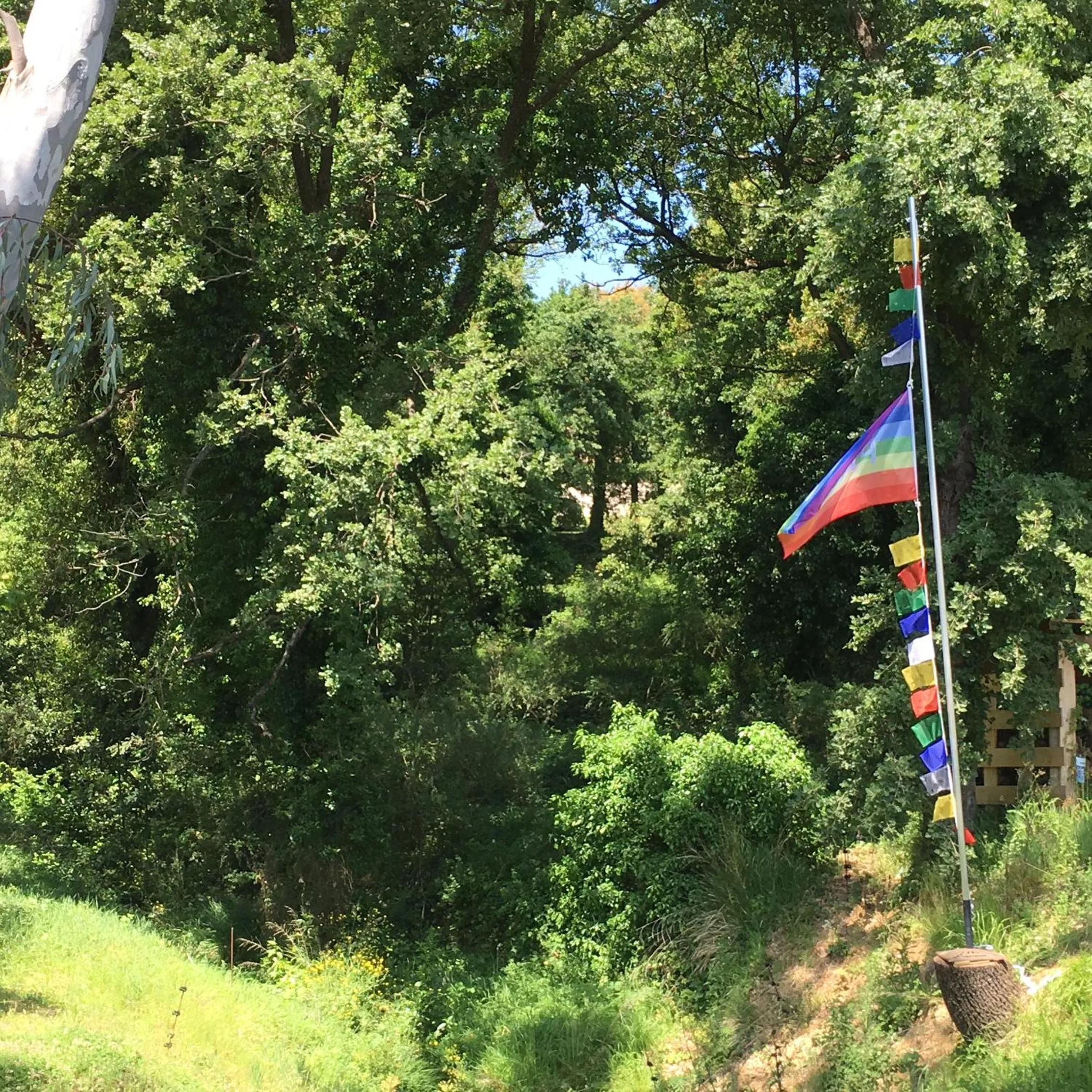 Garden in Villa Fontane Cottage