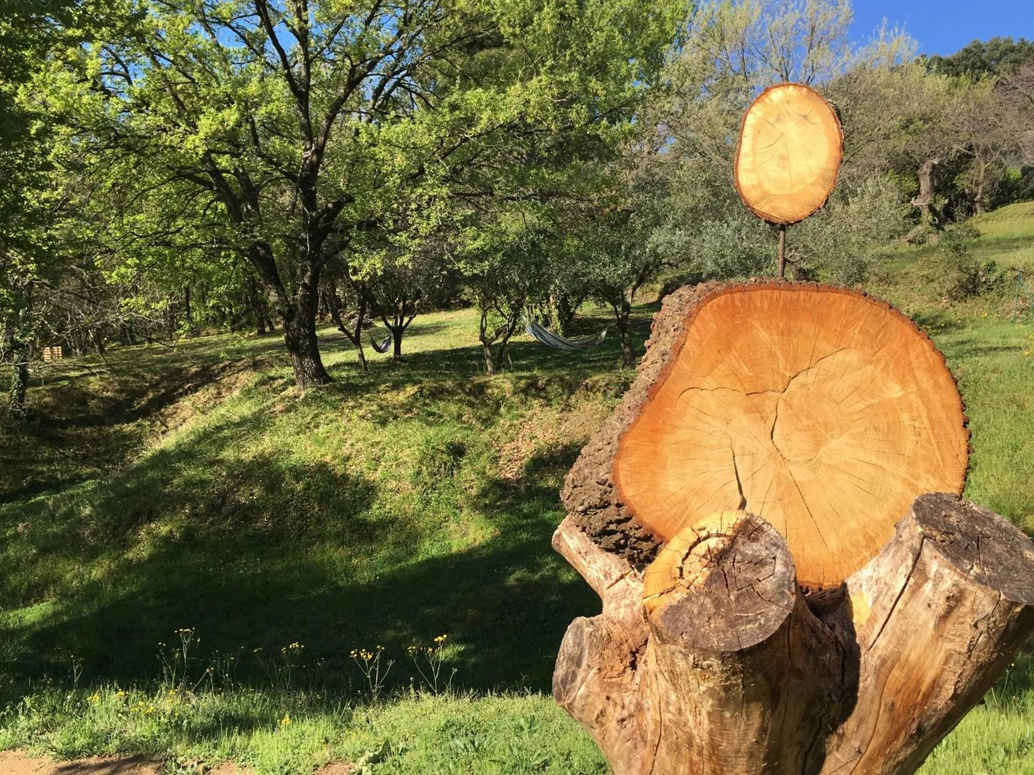 Garden in Villa Fontane Cottage