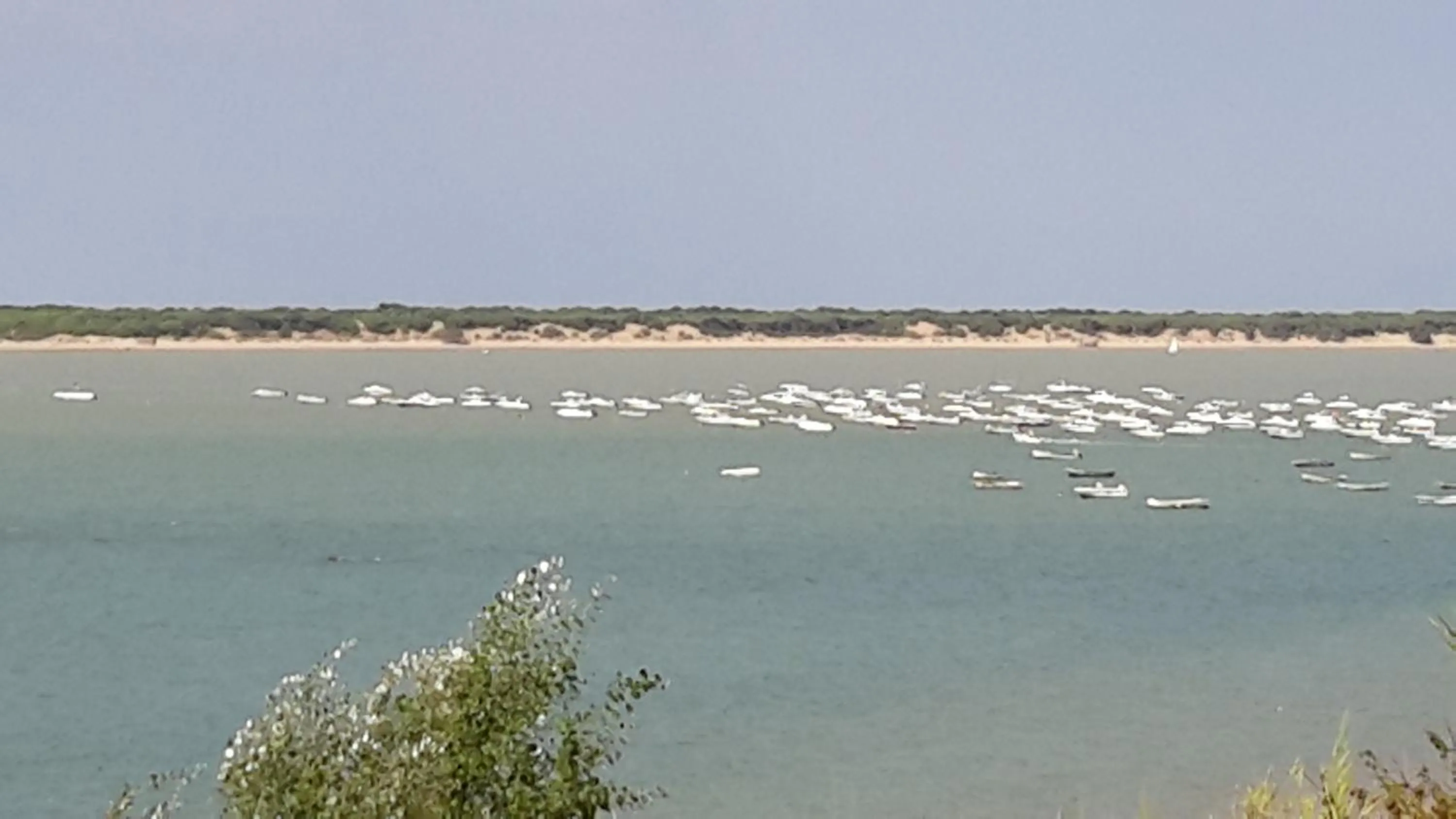 La Pandorga