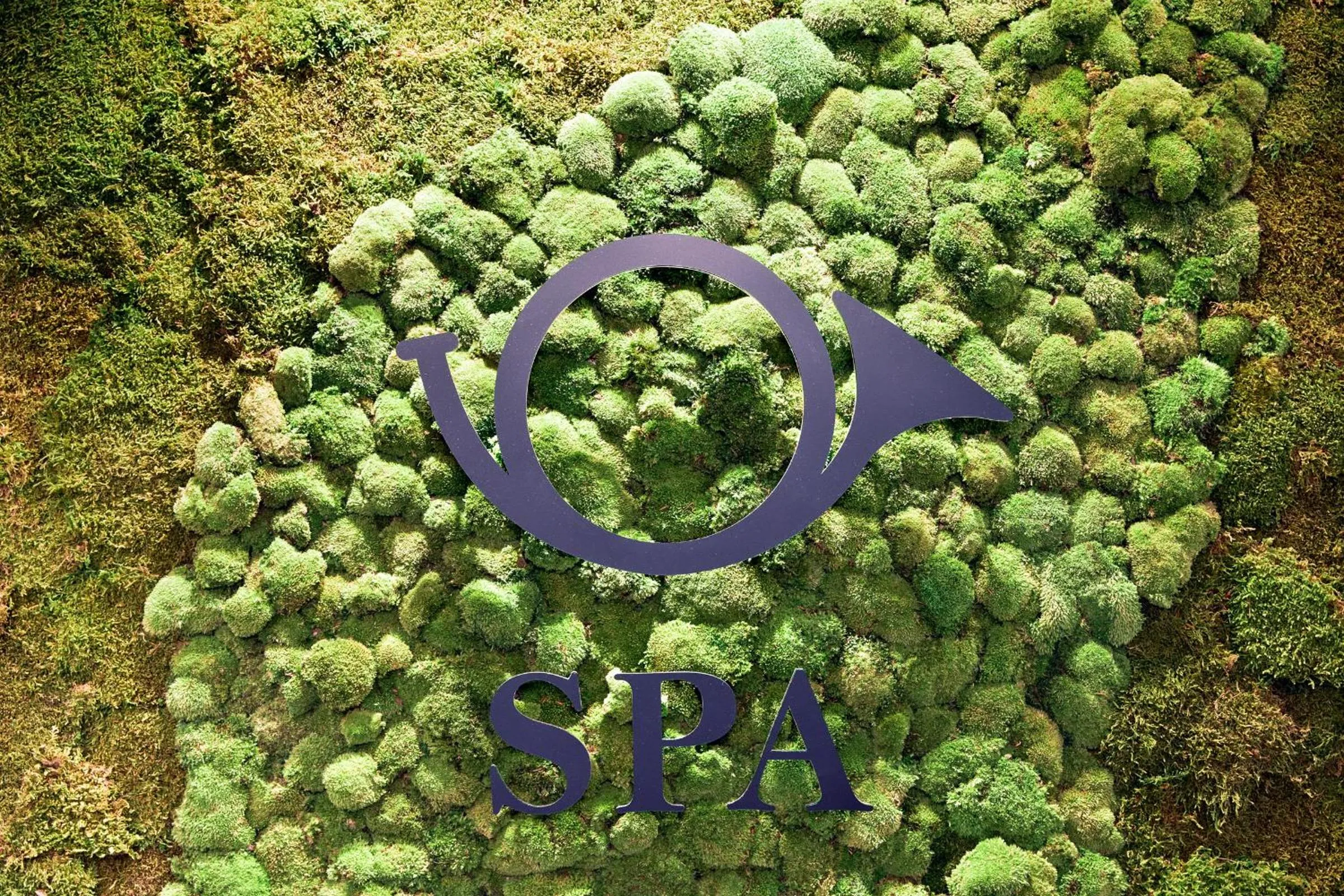 Property logo or sign in Hotel Neue Post