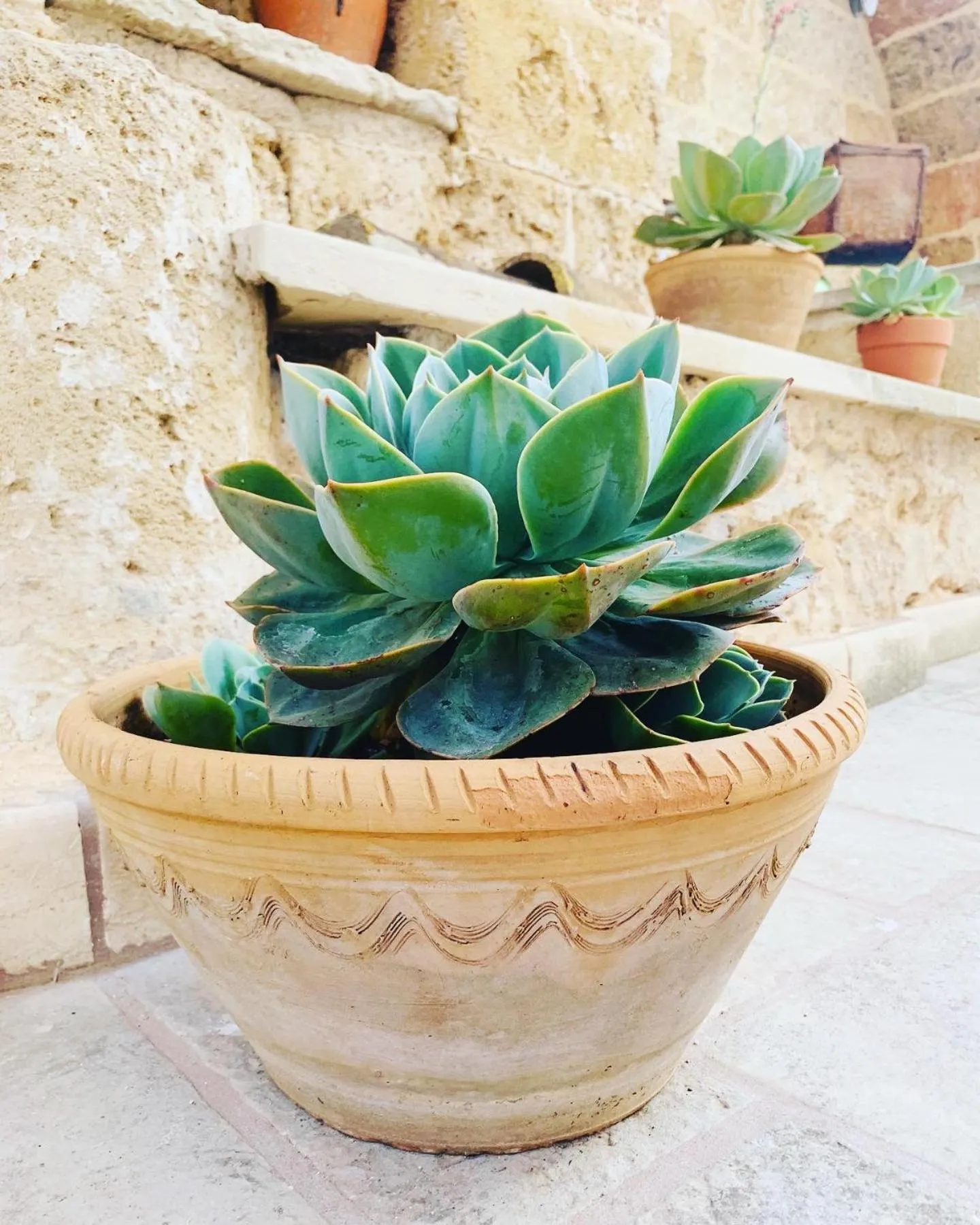 Facade/entrance in Nonna Veronica