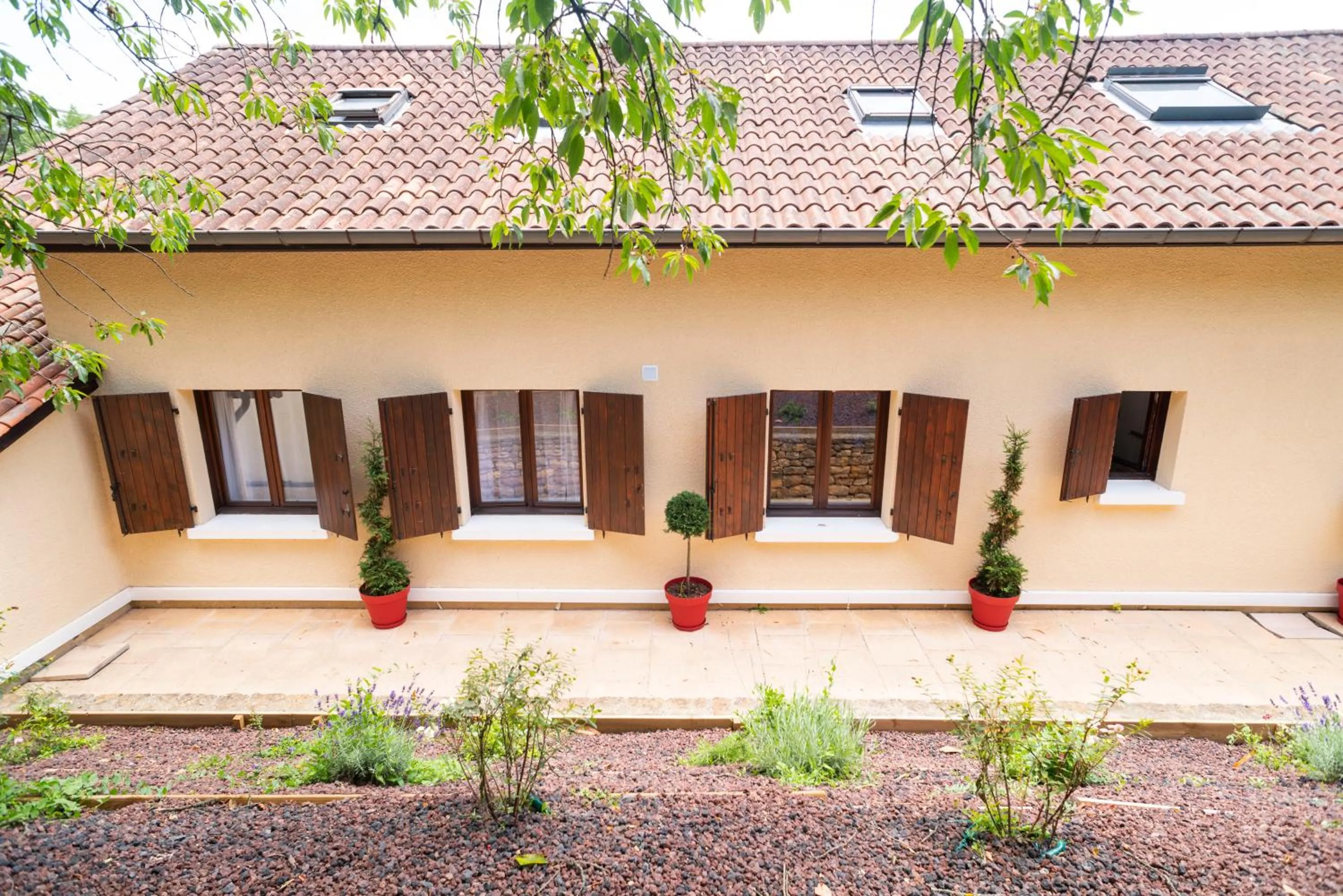 Garden in Lyon Mon Amour B&B