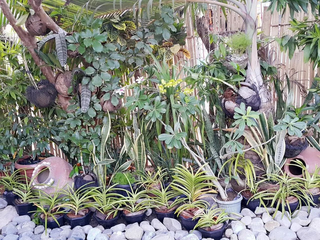 Carribean Transient House