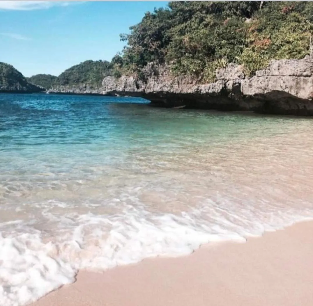 Carribean Transient House