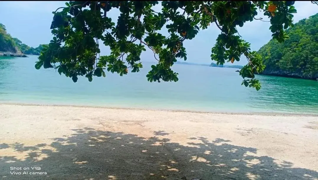Budget Double Room in Carribean Transient House Budget Double Room in Carribean Transient House