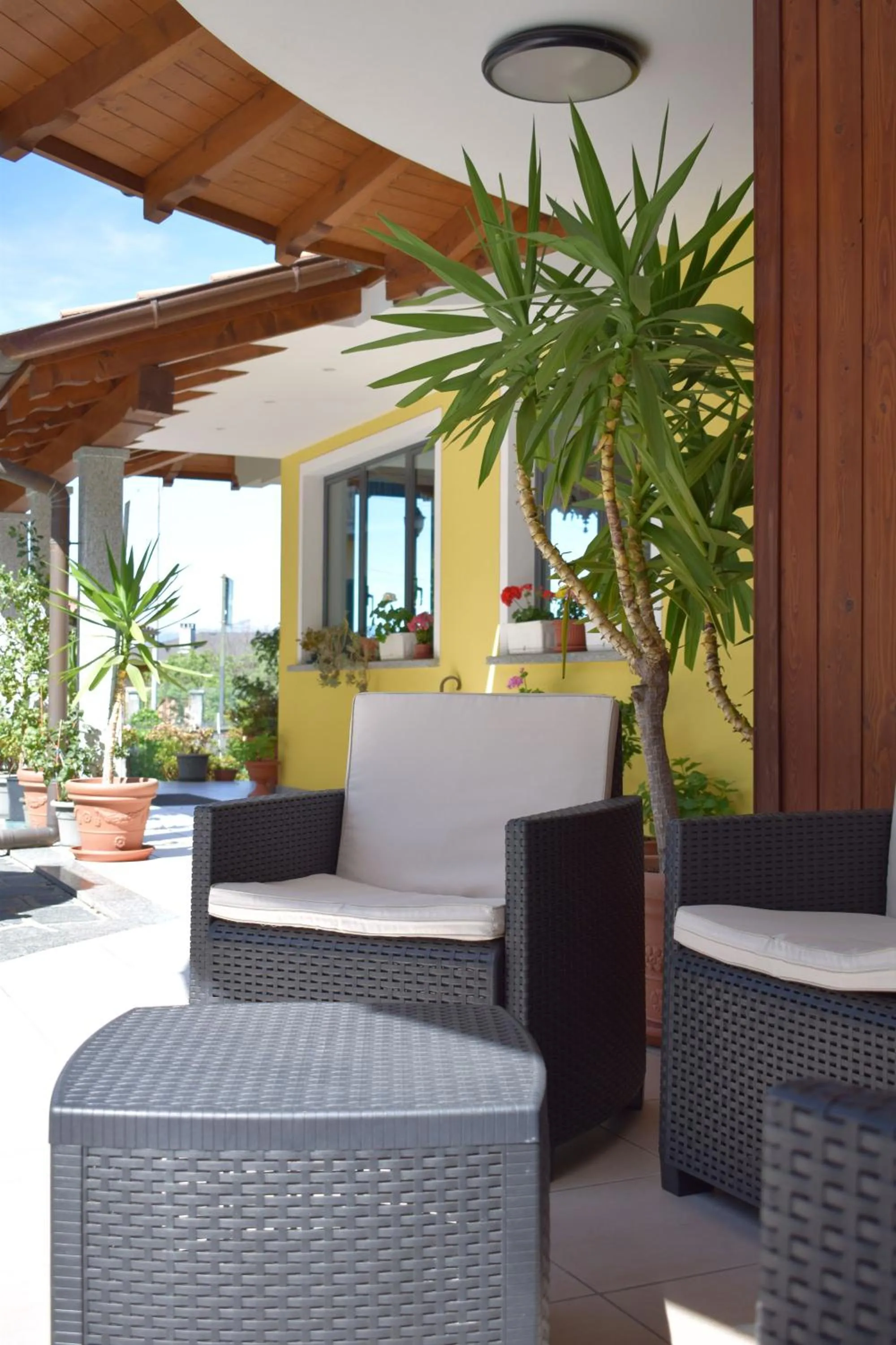 Patio in Hotel BB Villa Orchidea