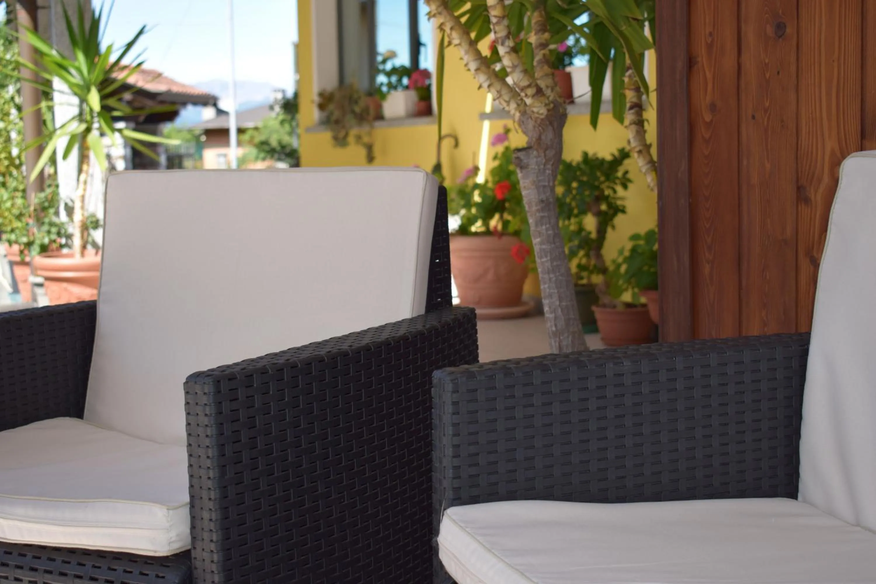 Patio in Hotel BB Villa Orchidea