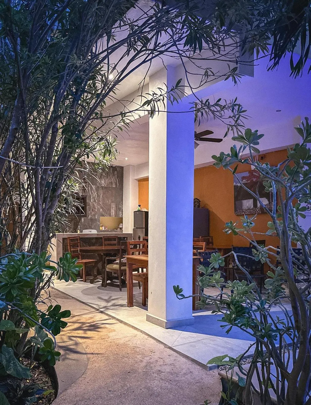 Garden in Casa Daniels Guesthouse