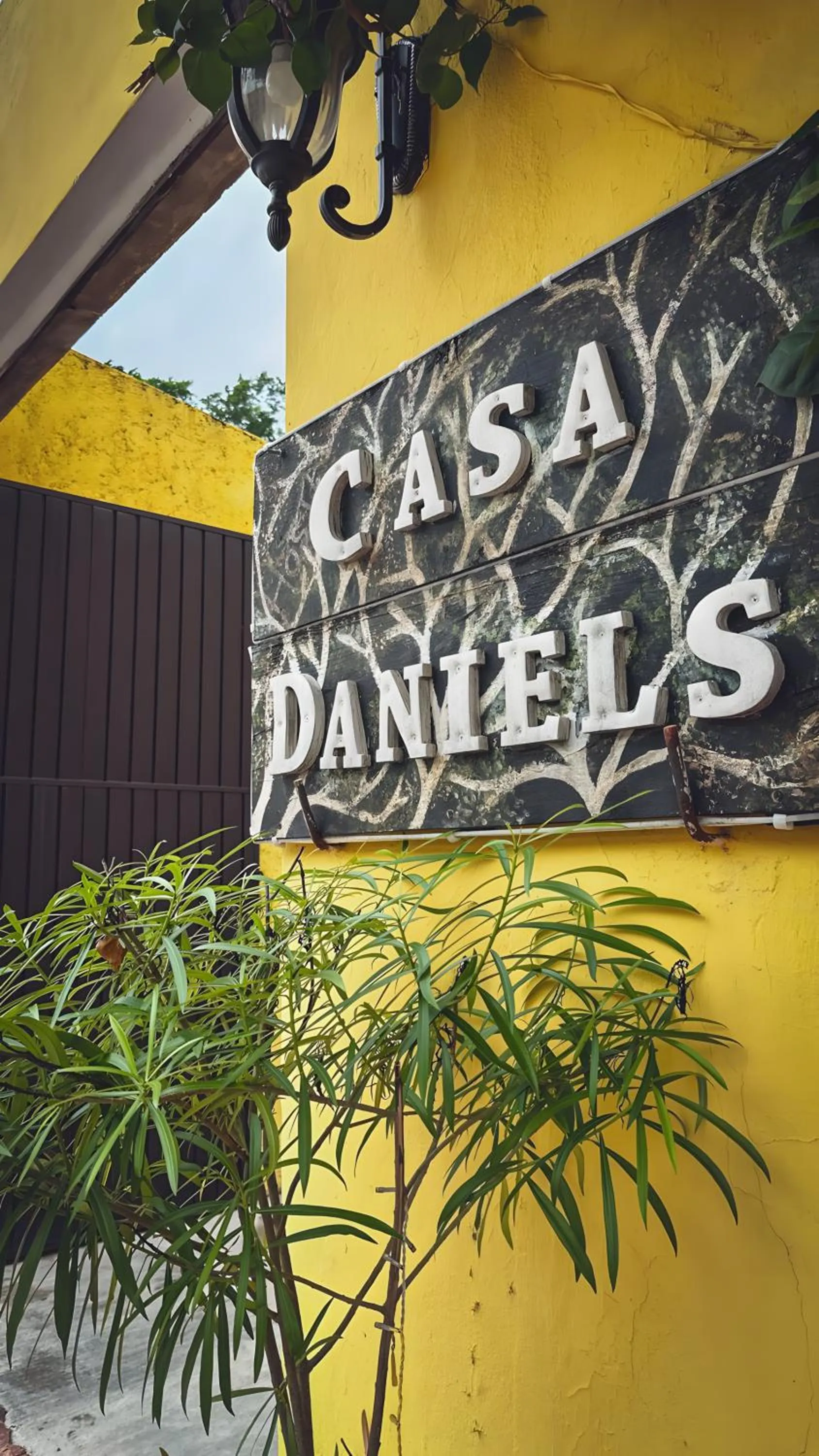 Logo/Certificate/Sign in Casa Daniels Guesthouse