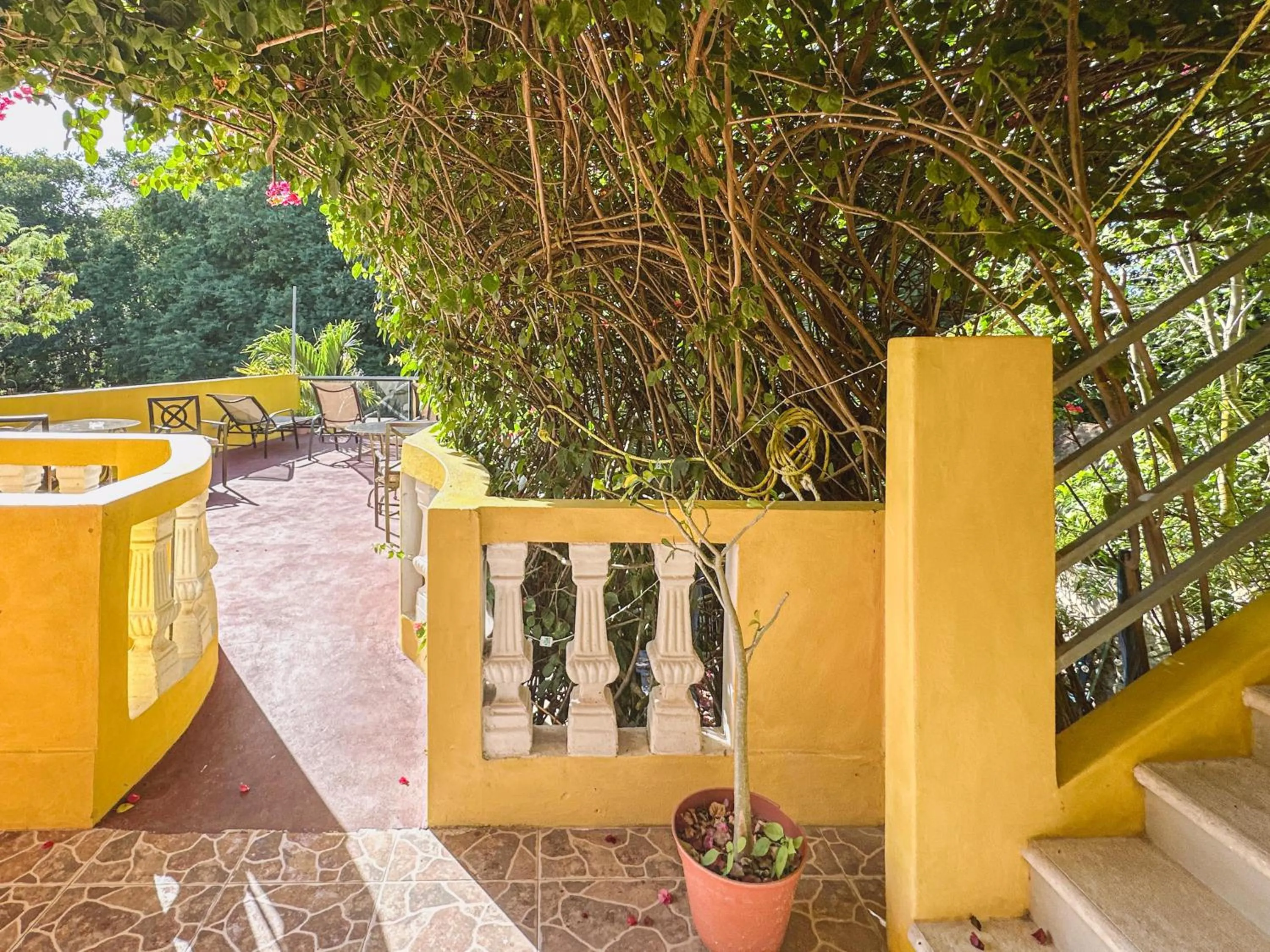 Casa Daniels Guesthouse