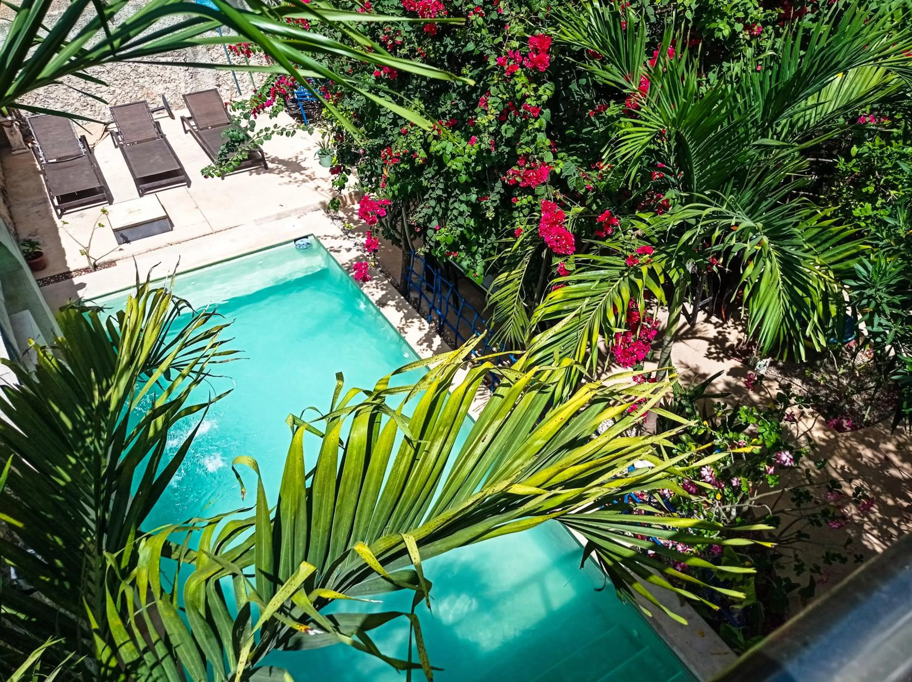 Swimming pool in Casa Daniels Guesthouse