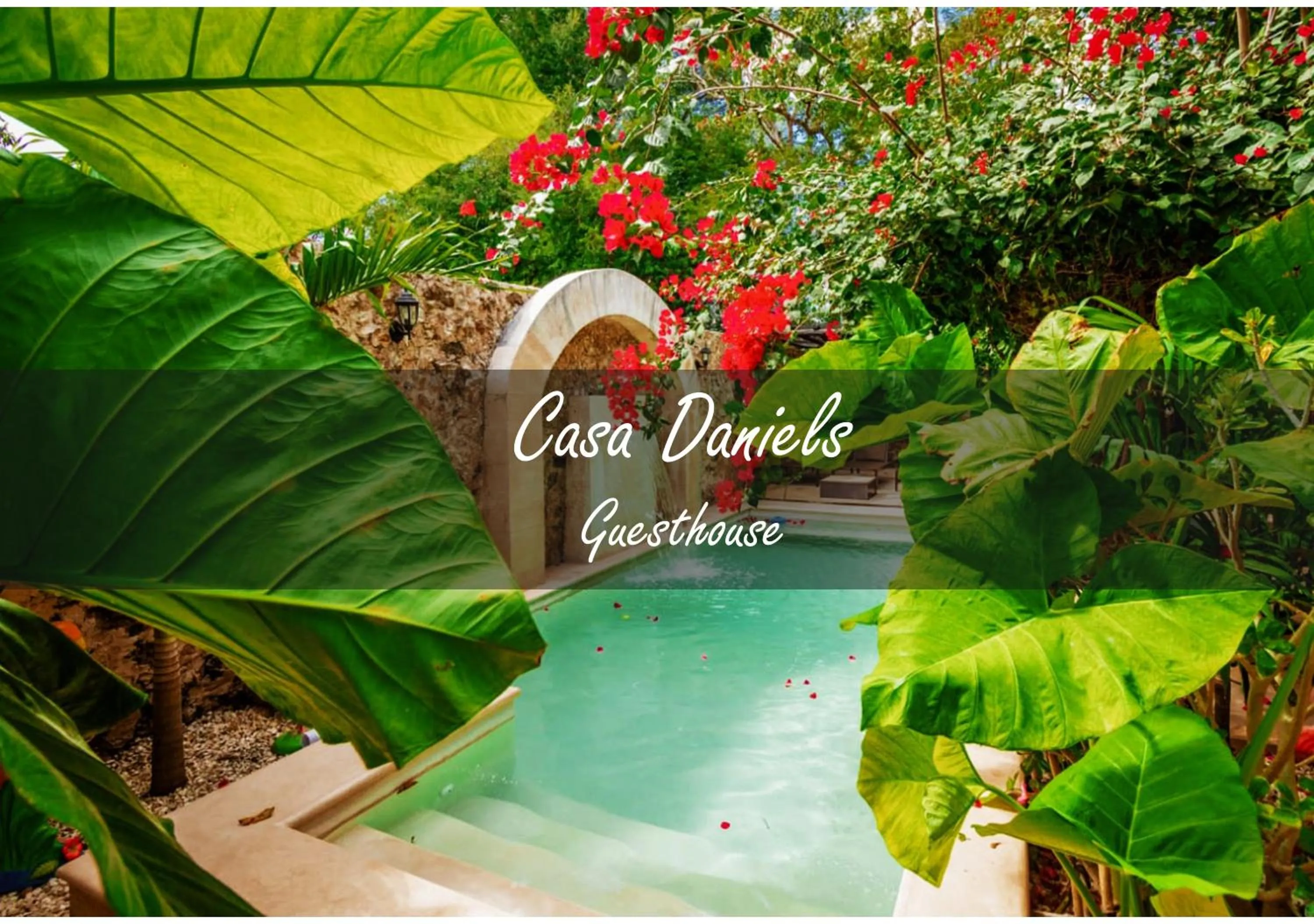 Swimming pool in Casa Daniels Guesthouse