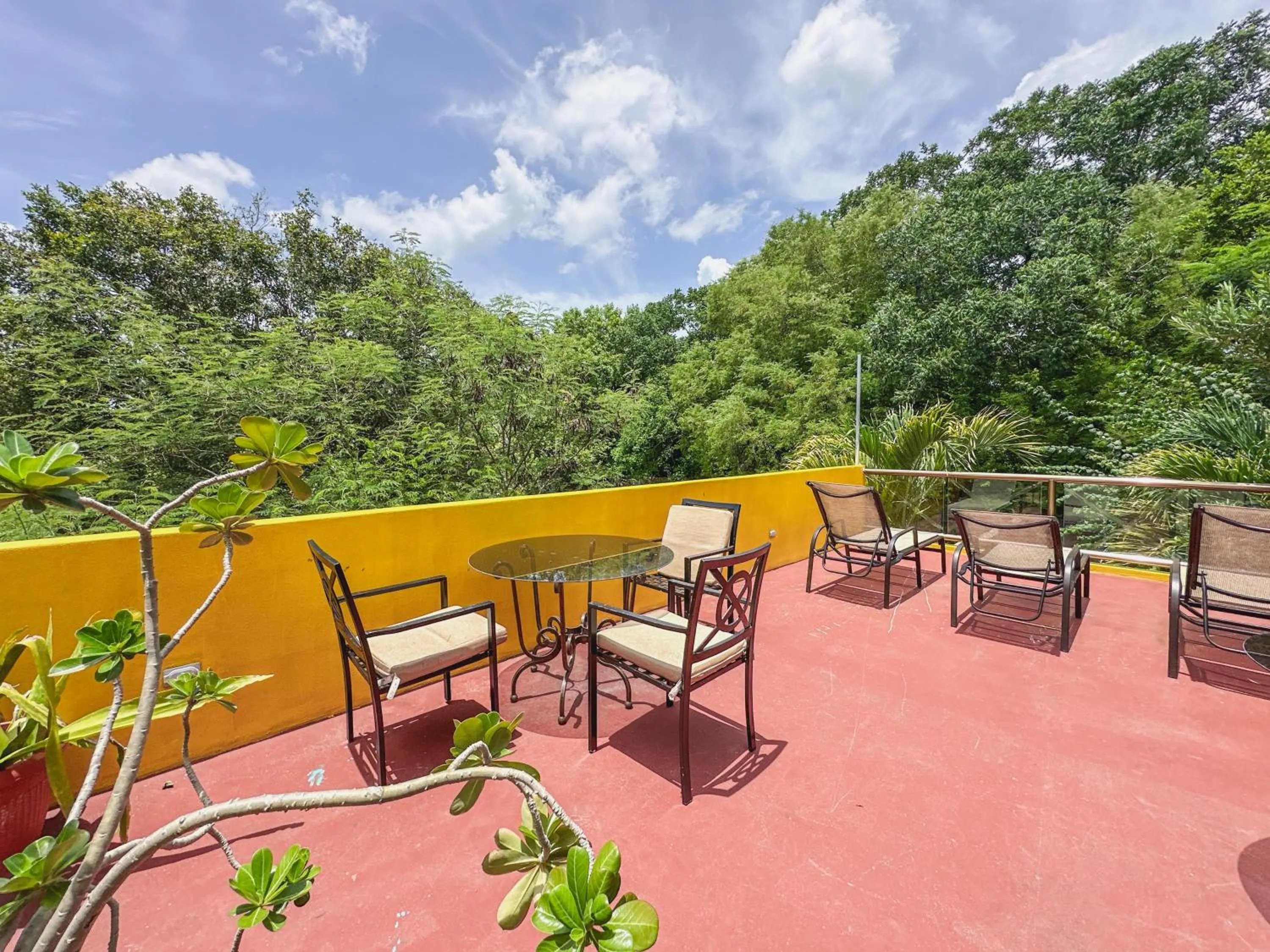 Balcony/Terrace in Casa Daniels Guesthouse
