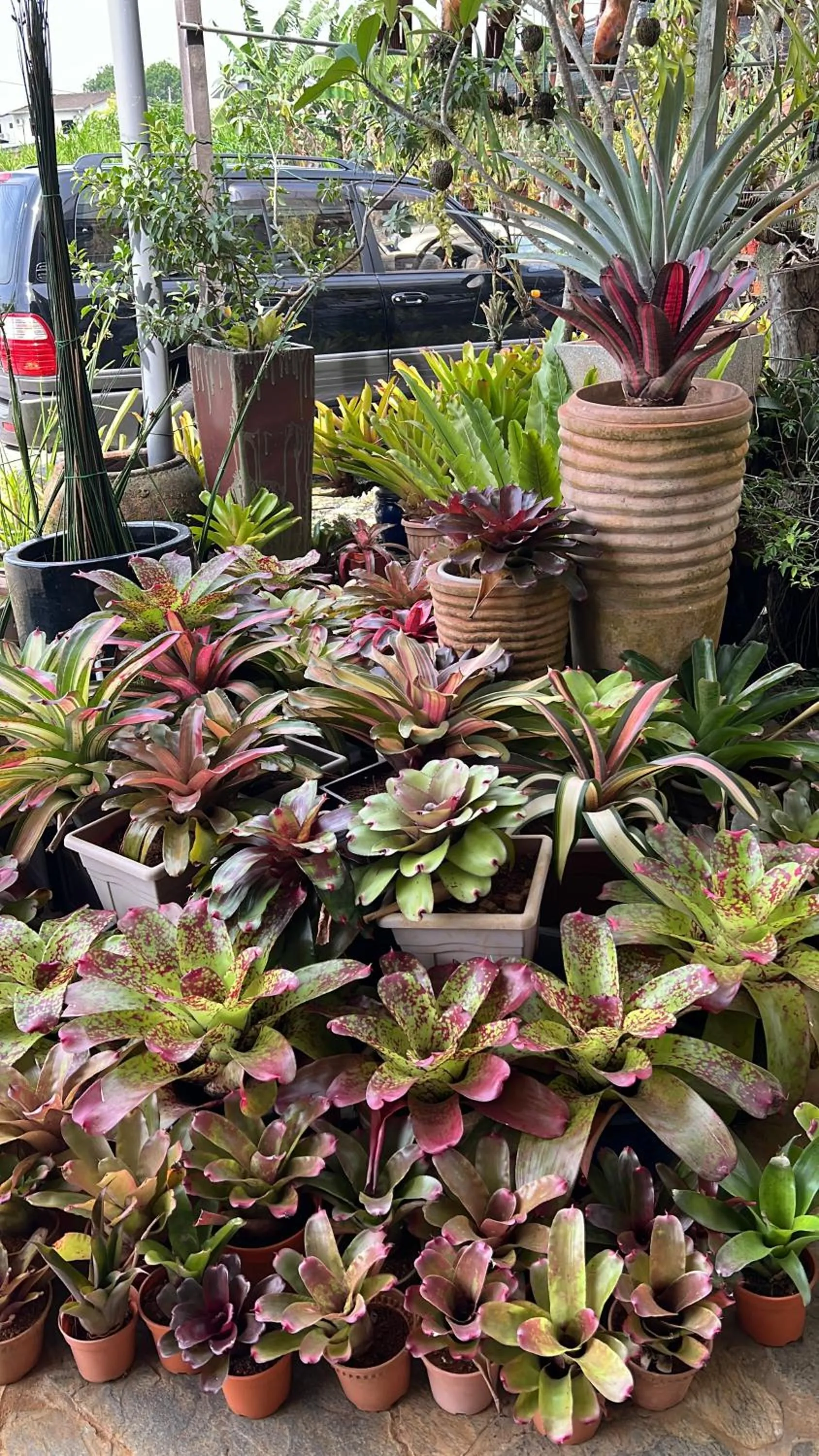 View (from property/room) in The Green Cottage