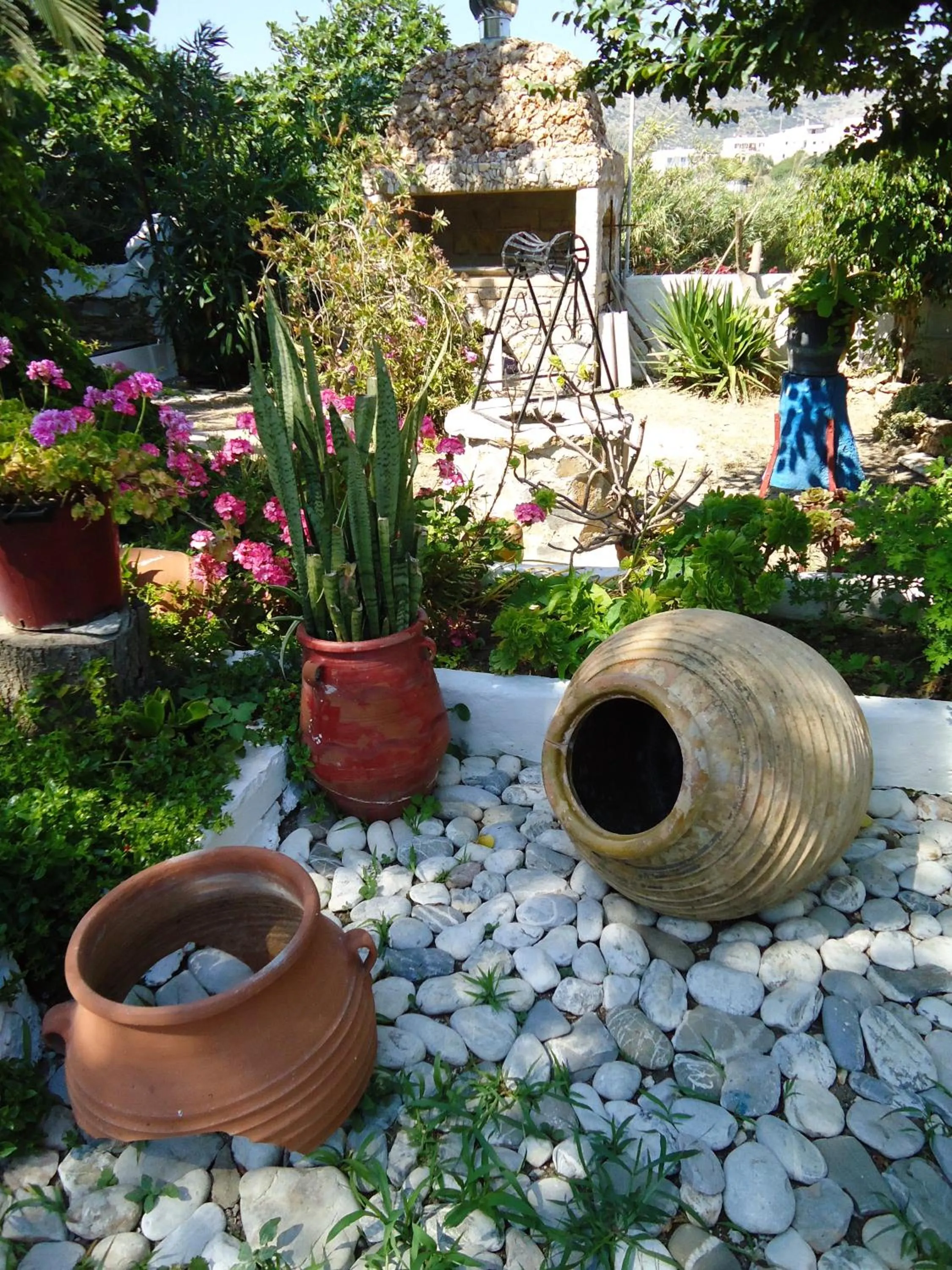 Garden in Pension Sofia Amorgos-Katapola