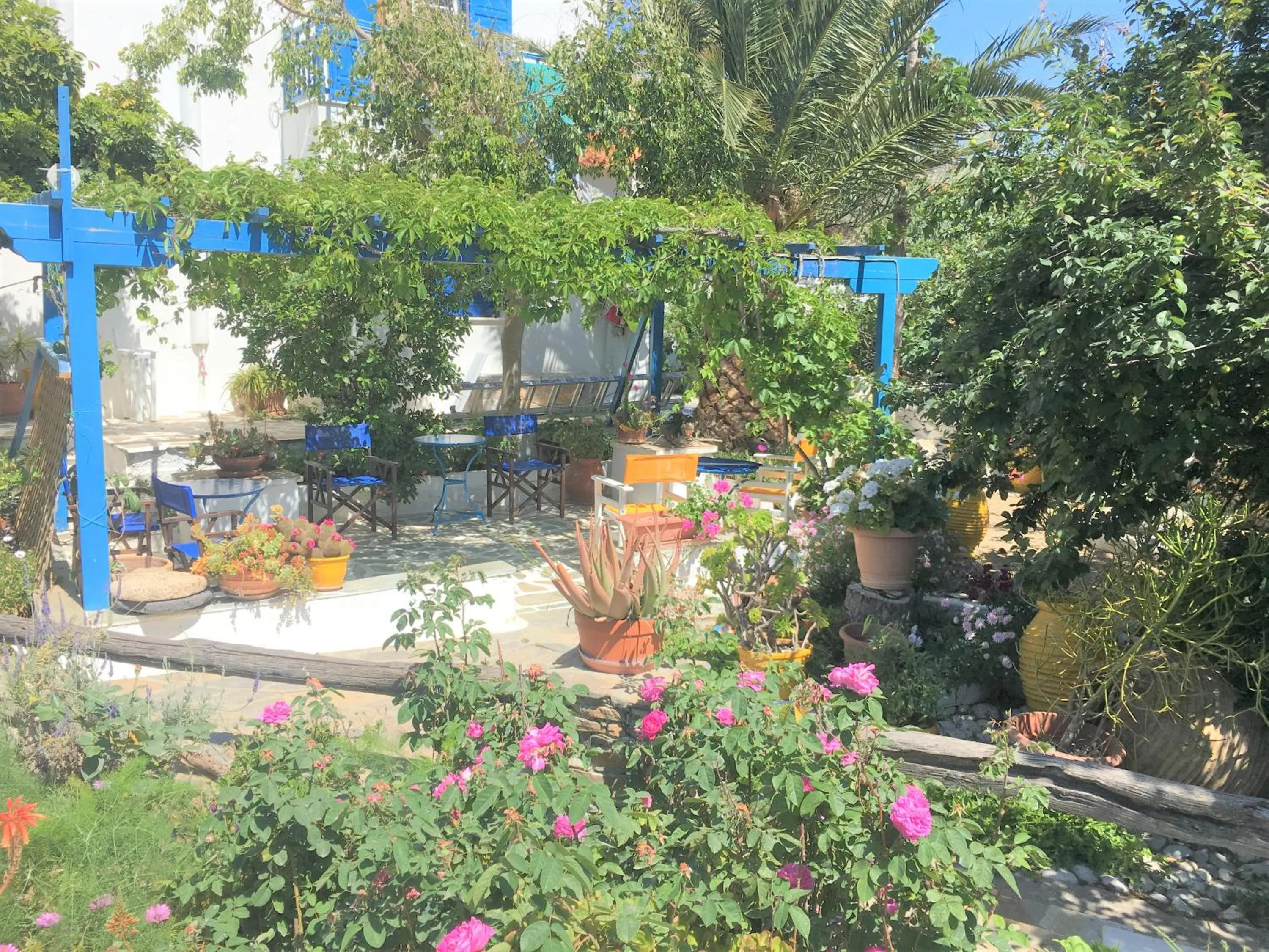 Garden in Pension Sofia Amorgos-Katapola