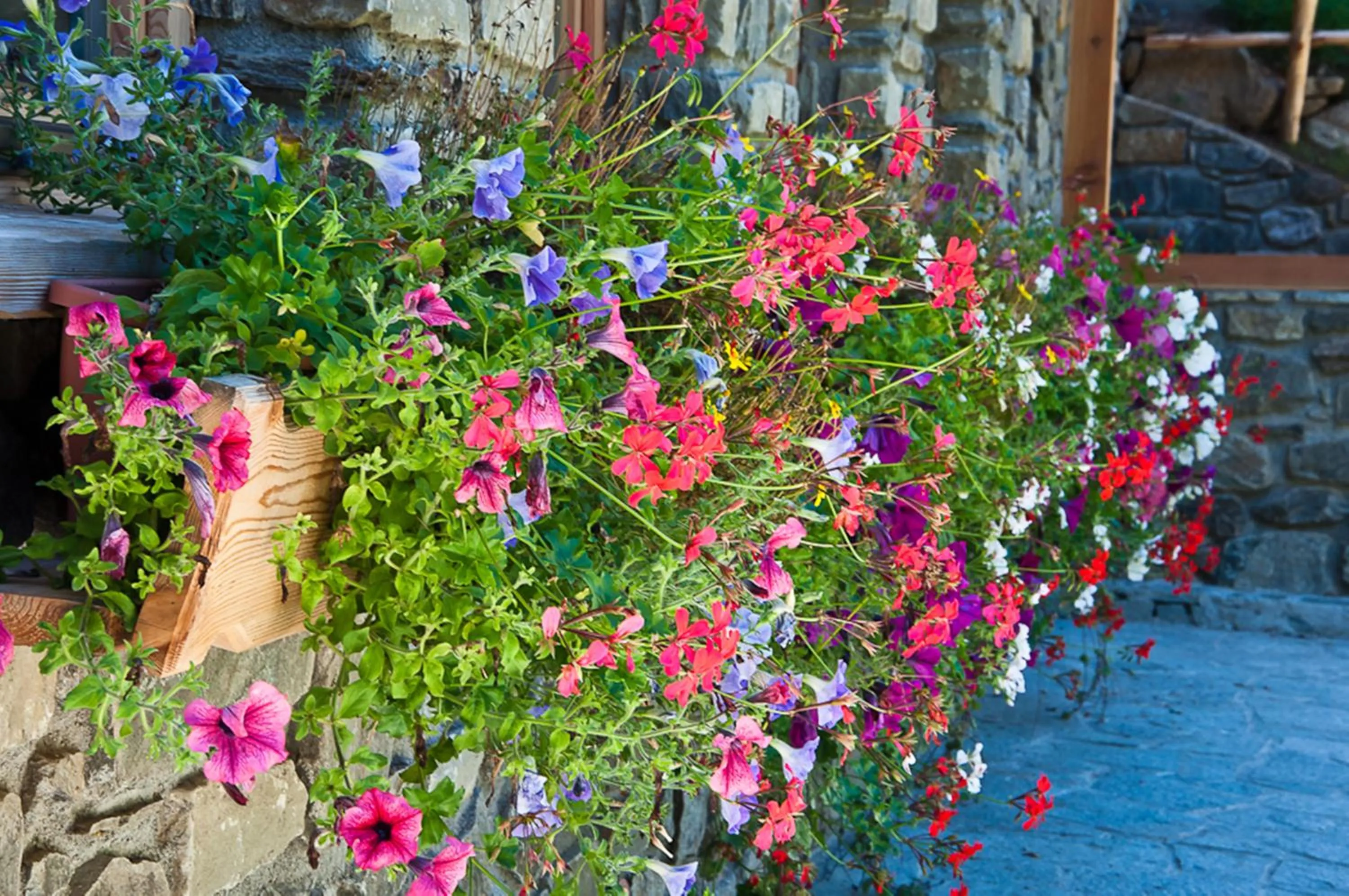 Garden in Hotel Chalet Alpenrose Bio Wellness Naturaktivhotel