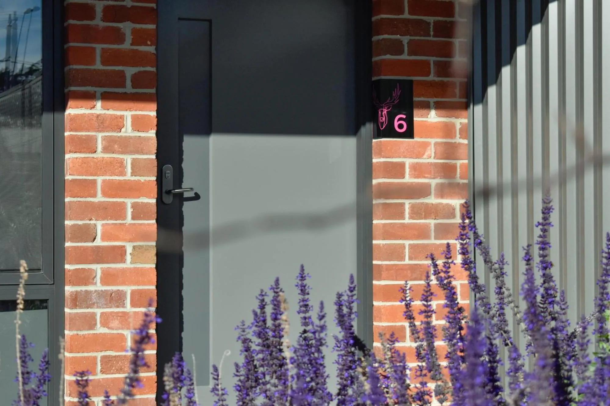 Garden in Daylesford Art Motel