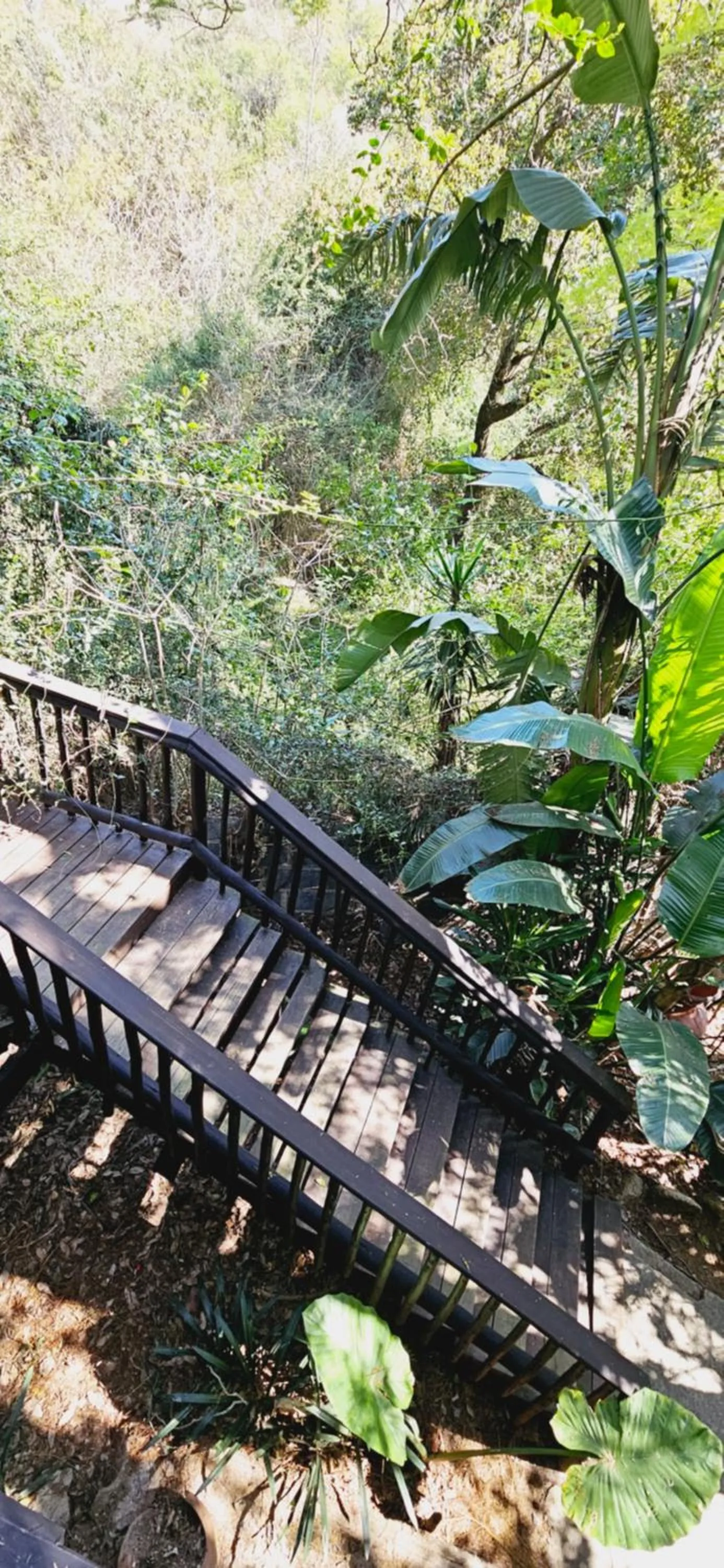 Balcony/Terrace in Old Vic Travellers Inn Nelspruit