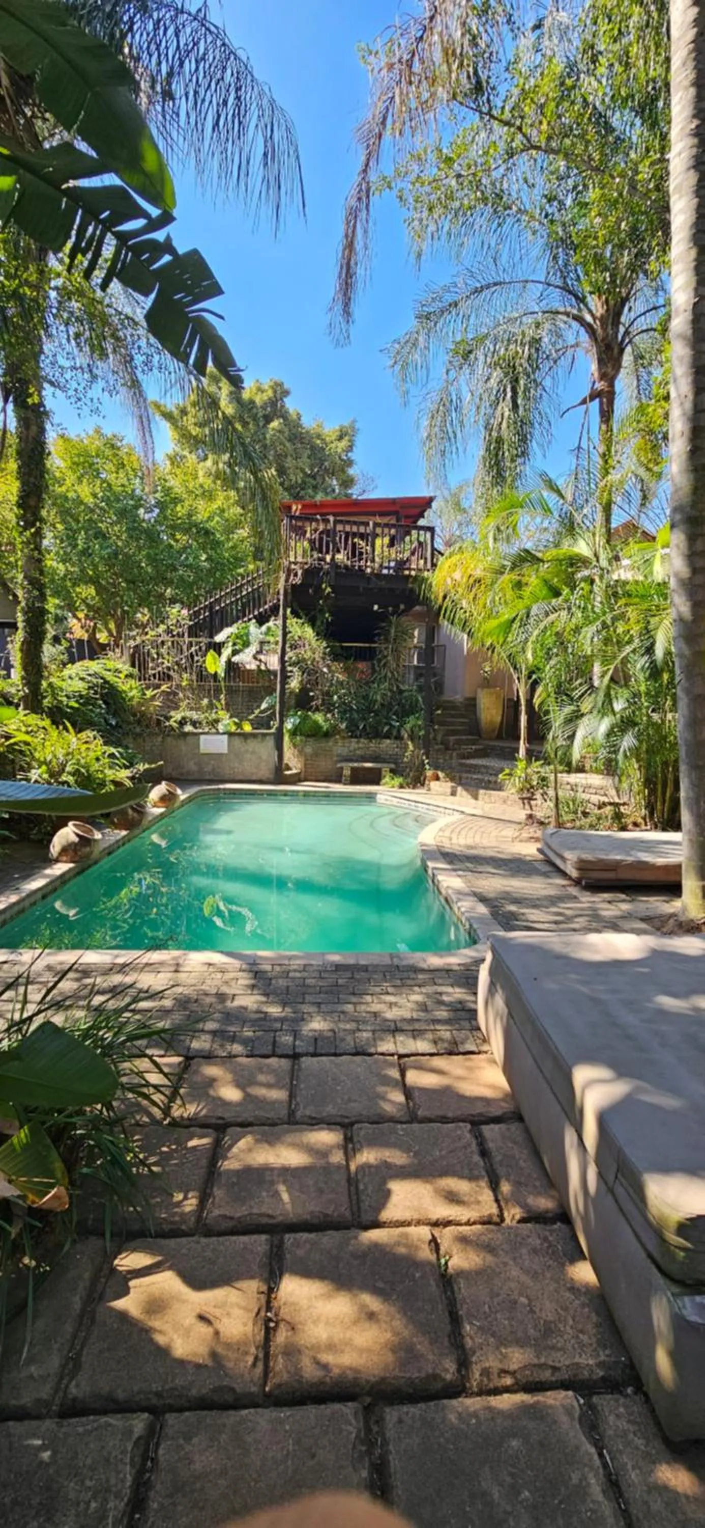 Spring in Old Vic Travellers Inn Nelspruit