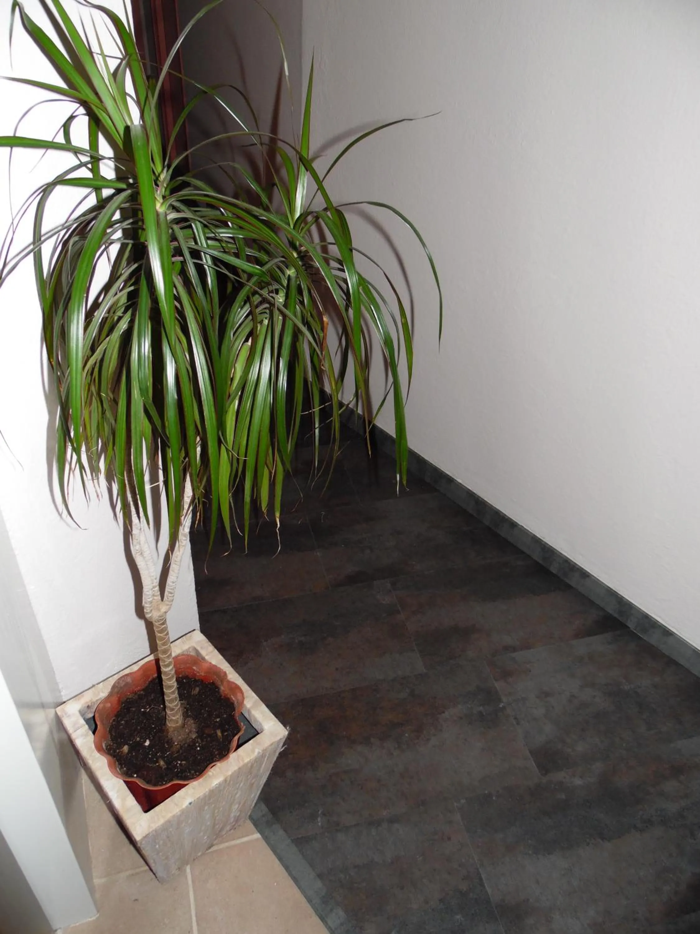 Lobby or reception in Hostal Santa Clara