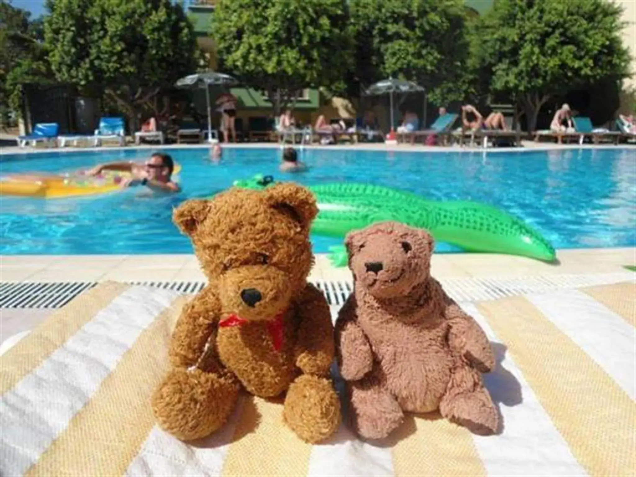 Pool view in Melissa Garden Apart Hotel Pool view in Melissa Garden Apart Hotel