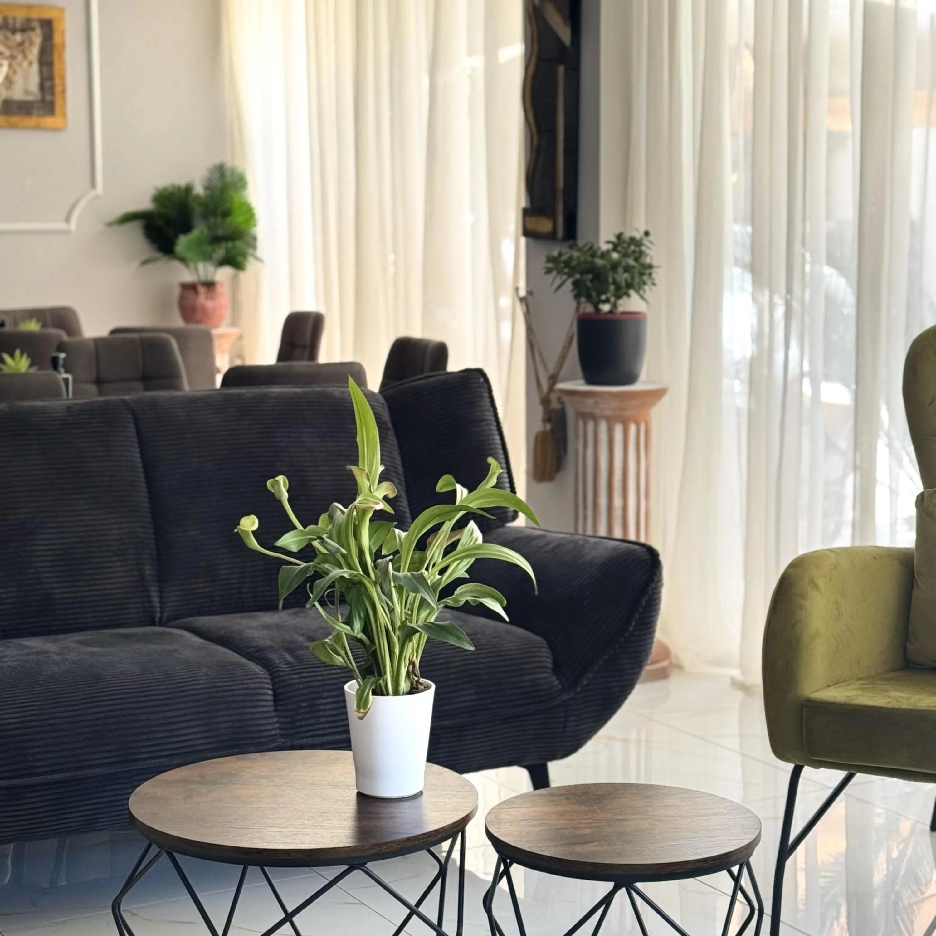 Living room in Posidon Studios